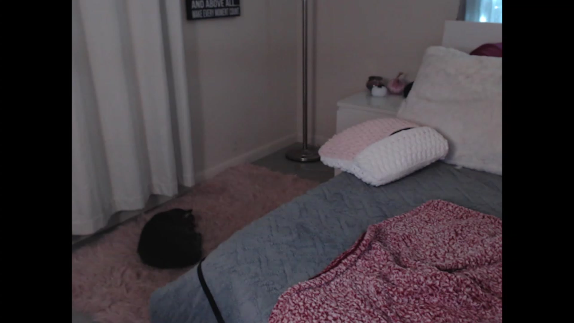 Gallery image thumbnail from Maddz_Jo's myfreecams stream on, 10/28/2023, 08:37 image 3 of 20