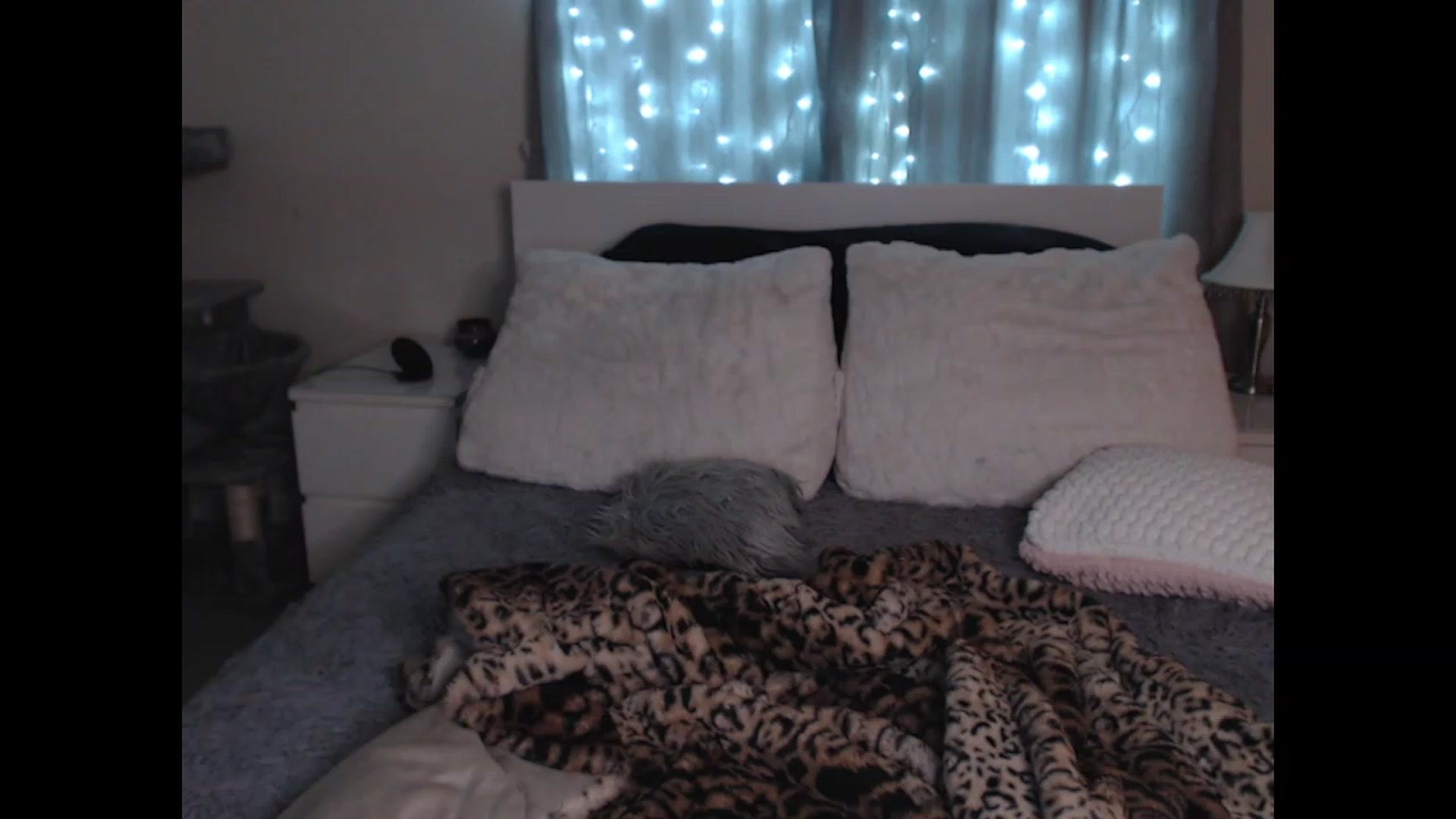 Gallery image thumbnail from Maddz_Jo's myfreecams stream on, 01/15/2024, 11:29 image 12 of 20