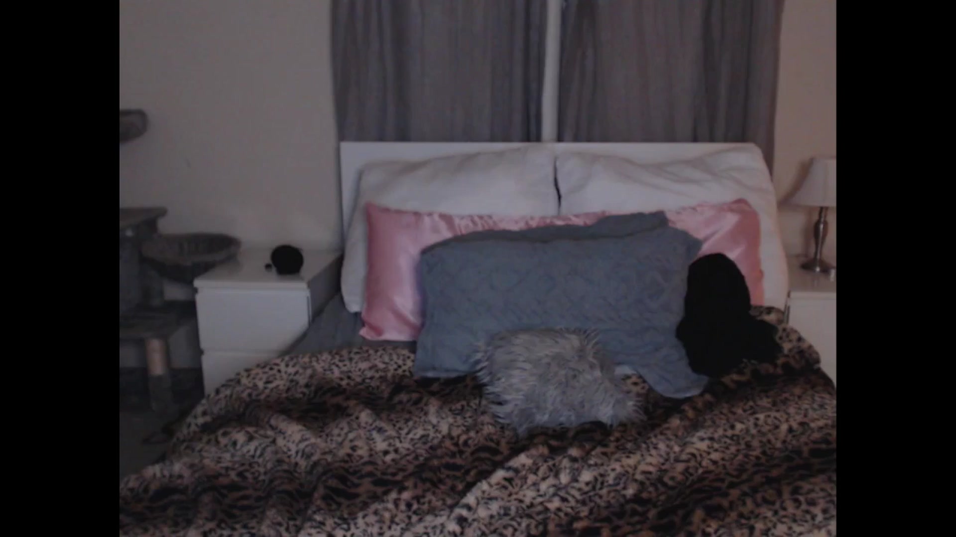 Gallery image thumbnail from Maddz_Jo's myfreecams stream on, 04/27/2024, 09:25 image 1 of 20