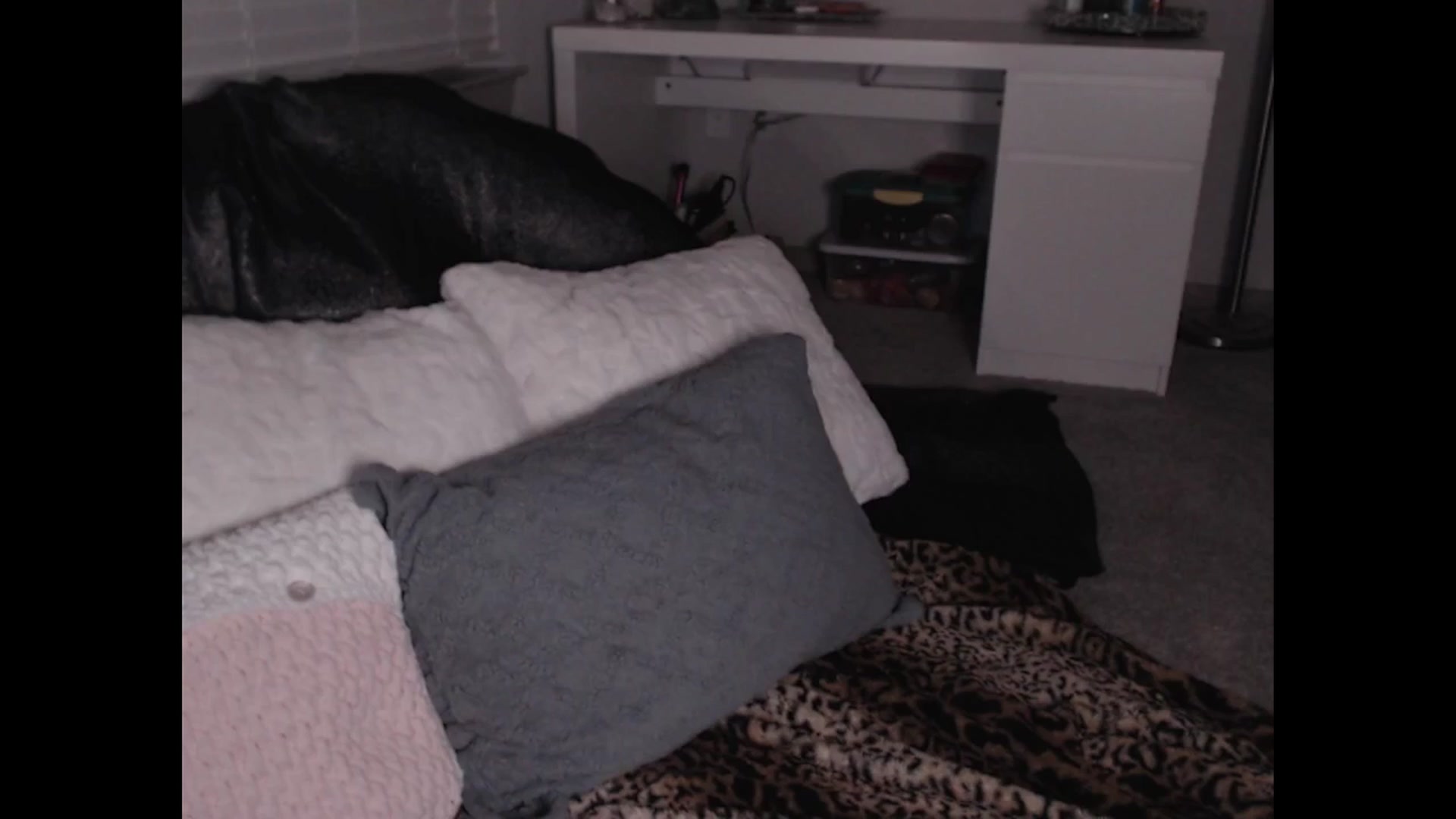 Gallery image thumbnail from Maddz_Jo's myfreecams stream on, 07/21/2024, 10:04 image 10 of 20