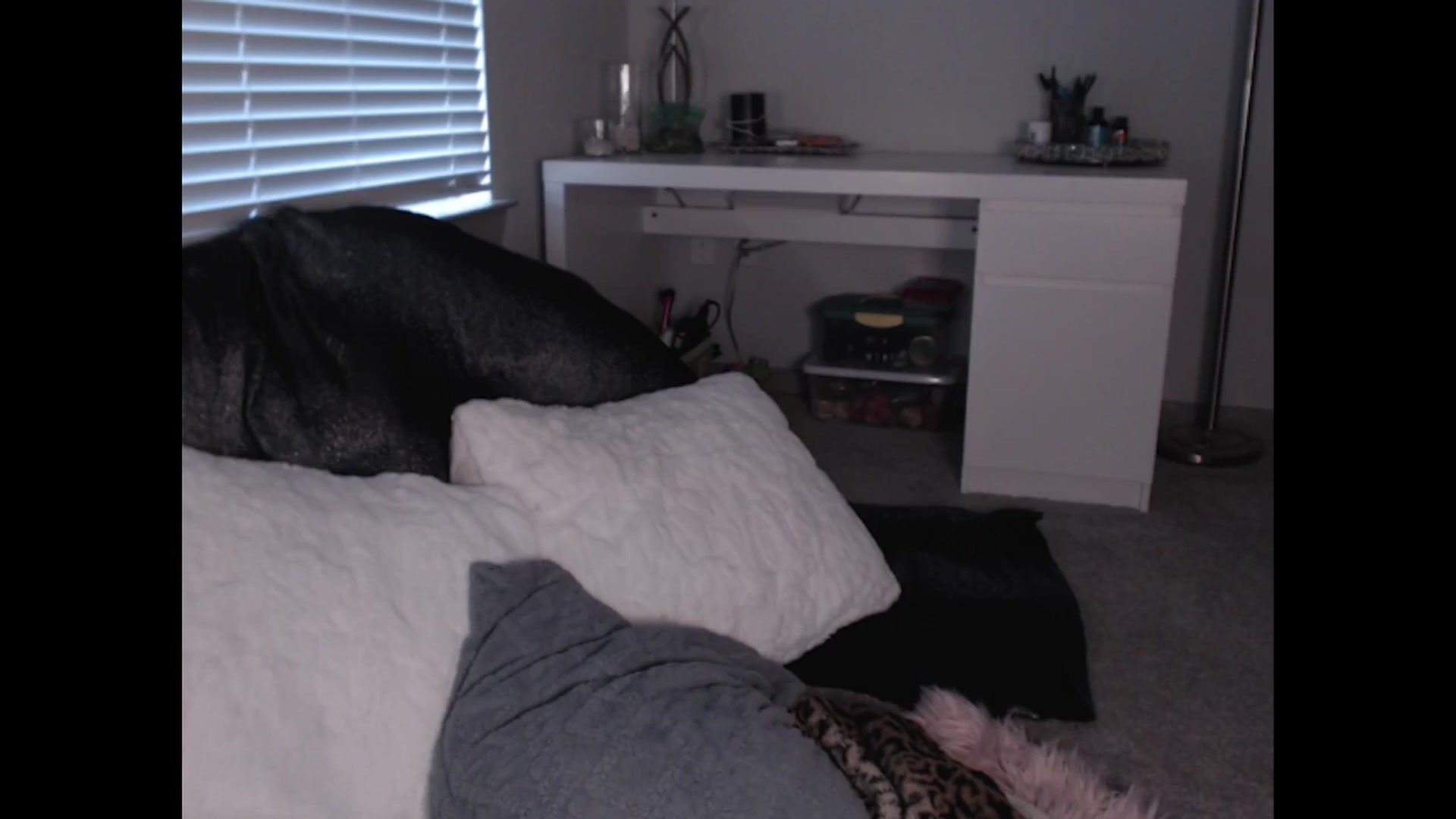 Gallery image thumbnail from Maddz_Jo's myfreecams stream on, 07/21/2024, 11:57 image 2 of 20