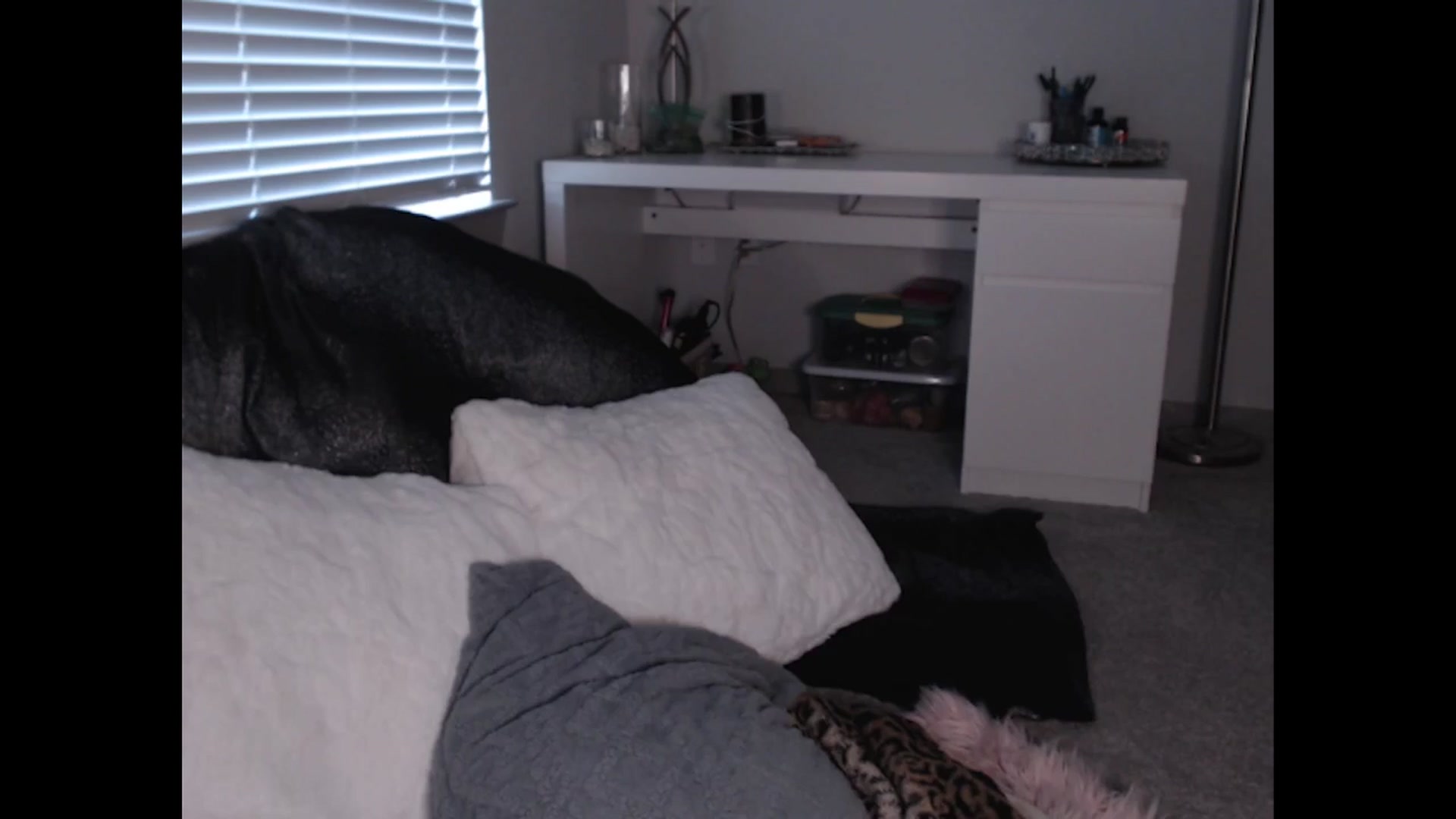 Gallery image thumbnail from Maddz_Jo's myfreecams stream on, 07/21/2024, 11:57 image 5 of 20