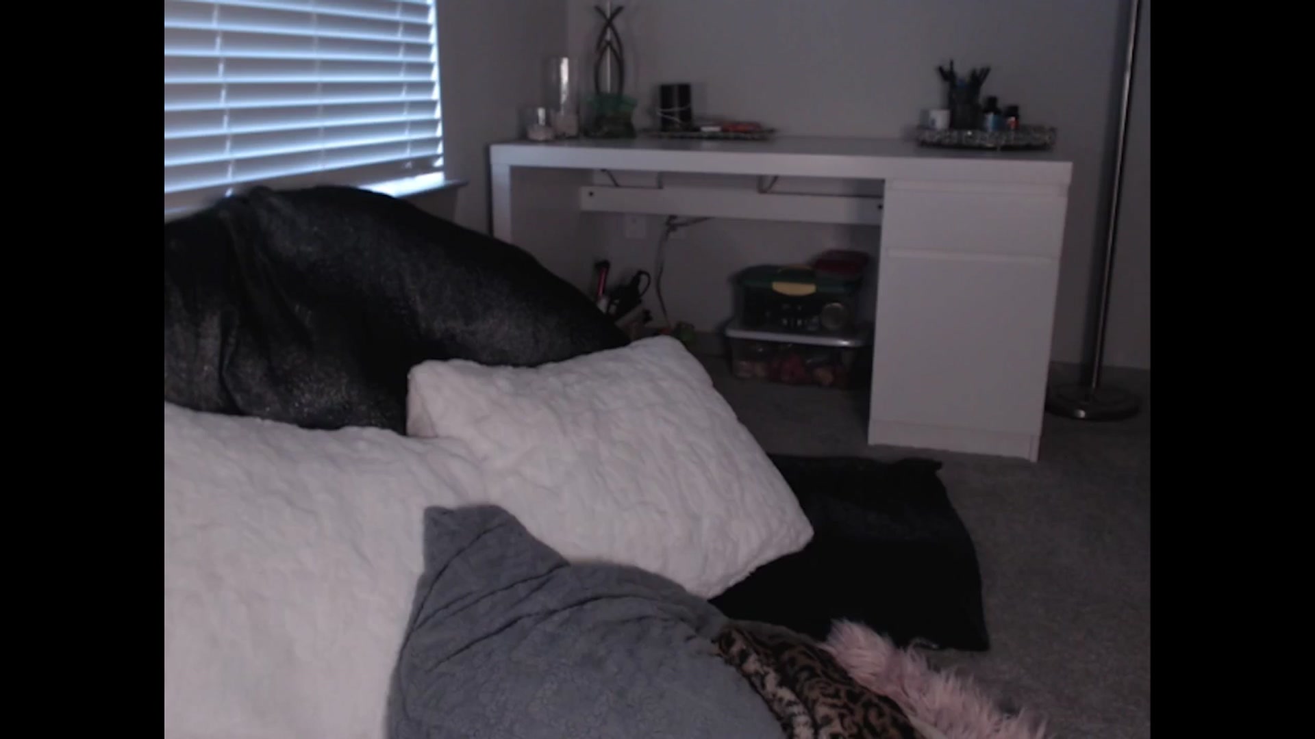 Gallery image thumbnail from Maddz_Jo's myfreecams stream on, 07/21/2024, 11:57 image 1 of 20