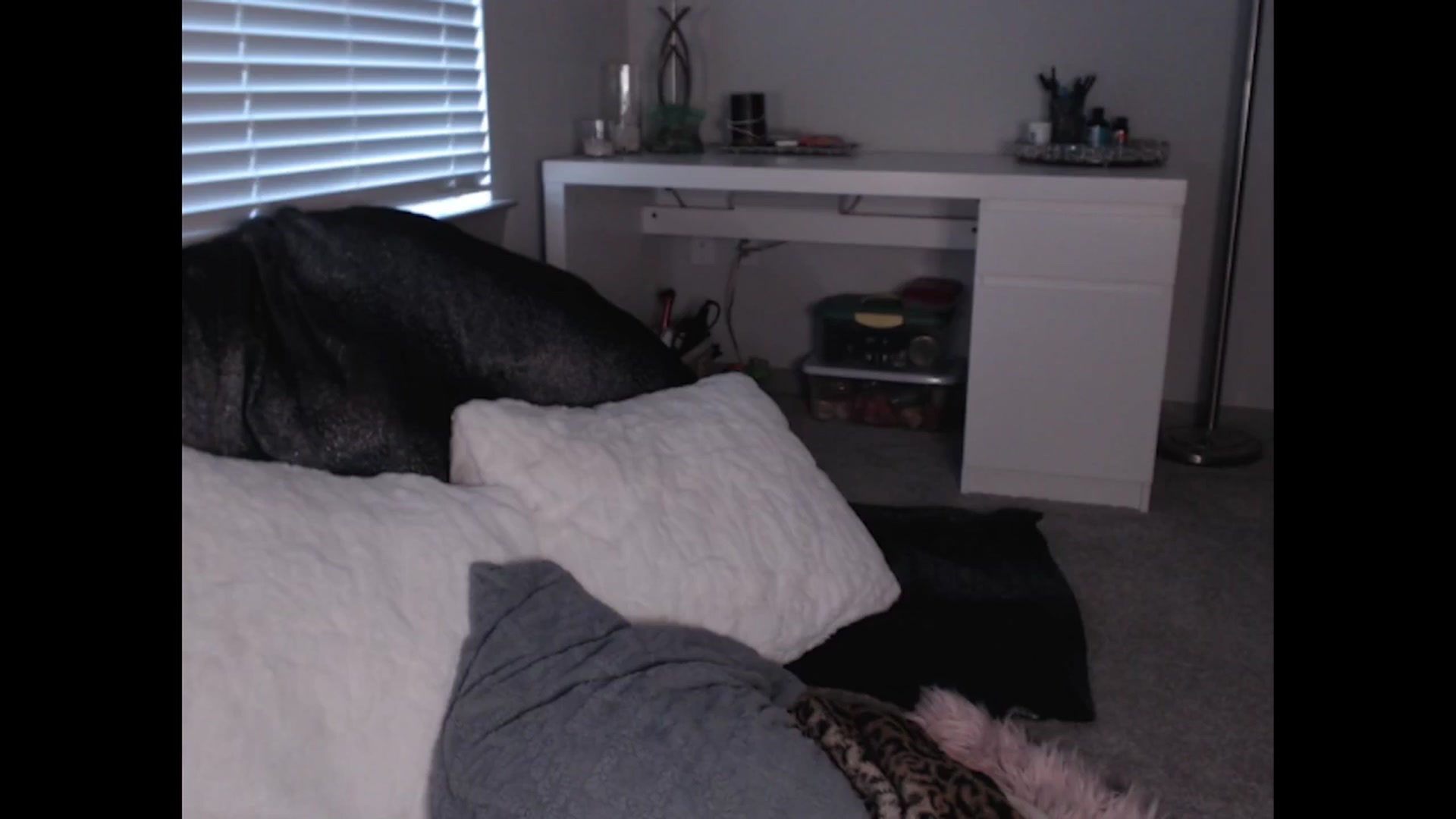 Gallery image thumbnail from Maddz_Jo's myfreecams stream on, 07/21/2024, 11:57 image 3 of 20