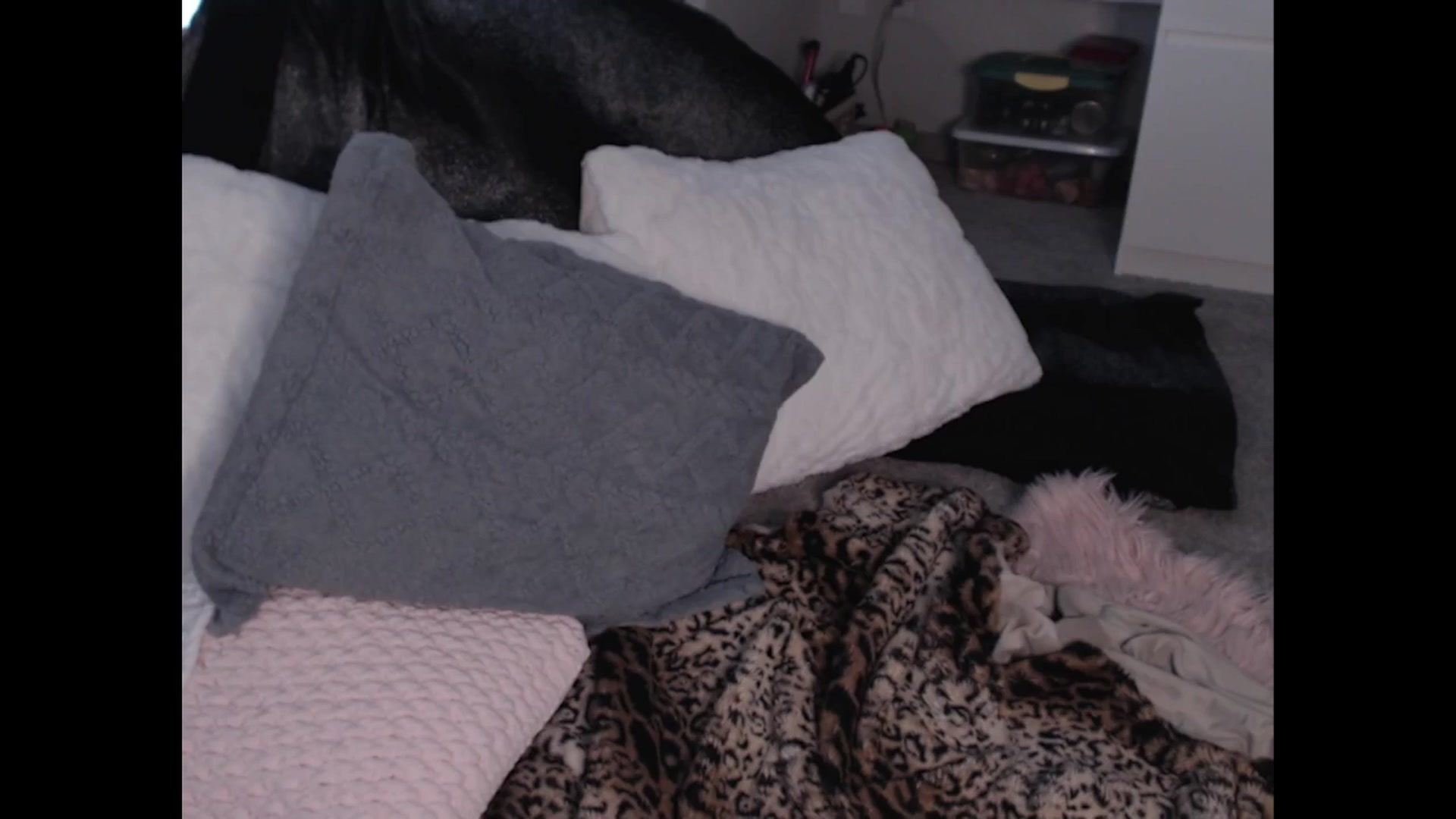 Gallery image thumbnail from Maddz_Jo's myfreecams stream on, 07/21/2024, 11:57 image 19 of 20