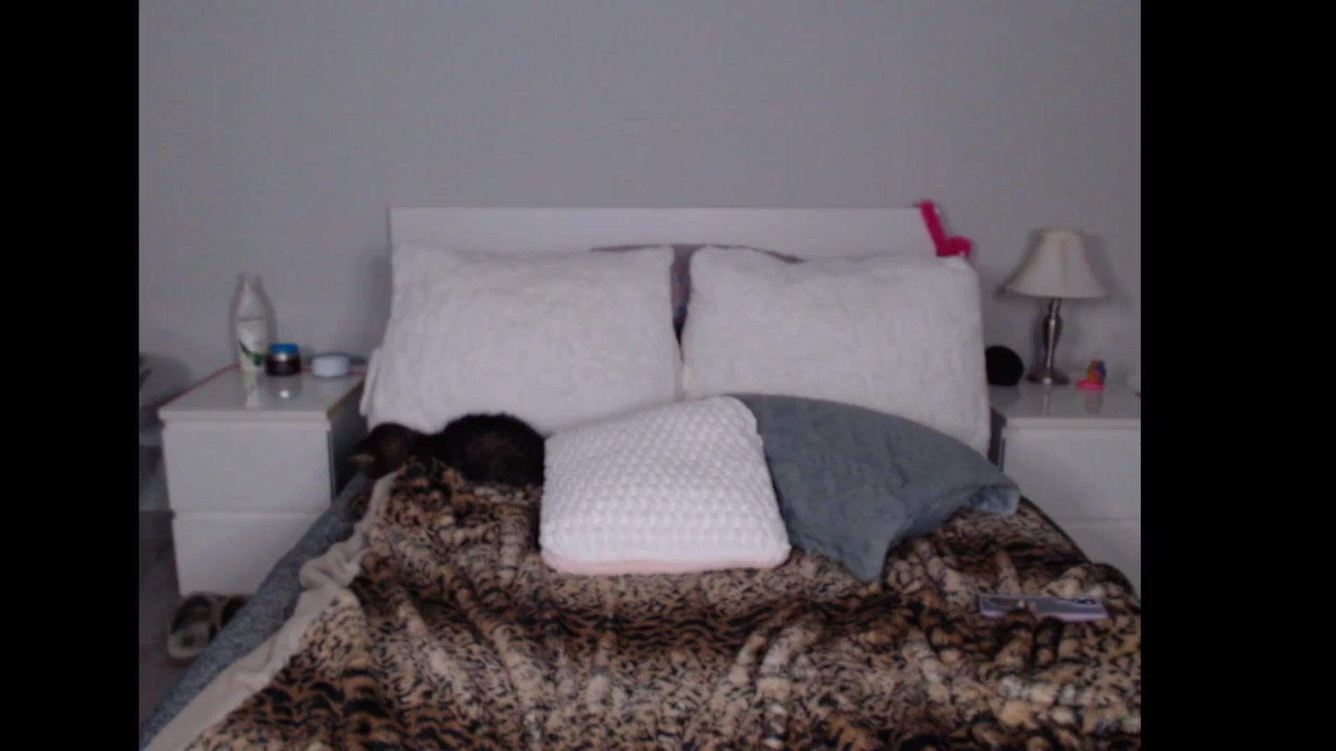 Gallery image thumbnail from Maddz_Jo's myfreecams stream on, 11/29/2024, 10:45 image 16 of 20