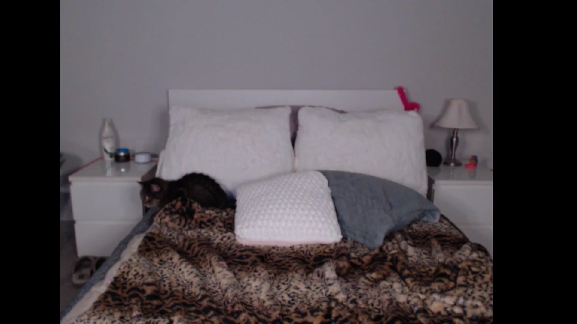 Gallery image thumbnail from Maddz_Jo's myfreecams stream on, 11/29/2024, 10:45 image 6 of 20