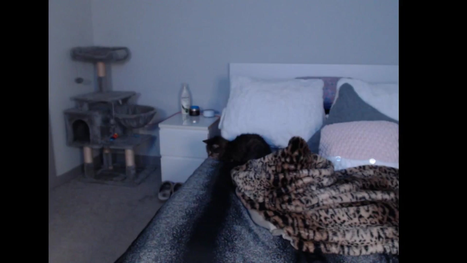 Gallery image thumbnail from Maddz_Jo's myfreecams stream on, 11/29/2024, 14:37 image 20 of 20