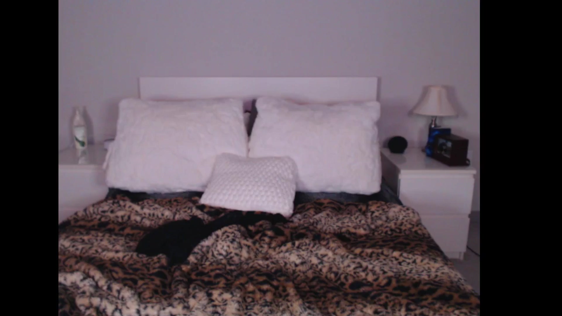 Gallery image thumbnail from Maddz_Jo's myfreecams stream on, 12/28/2024, 10:28 image 2 of 20