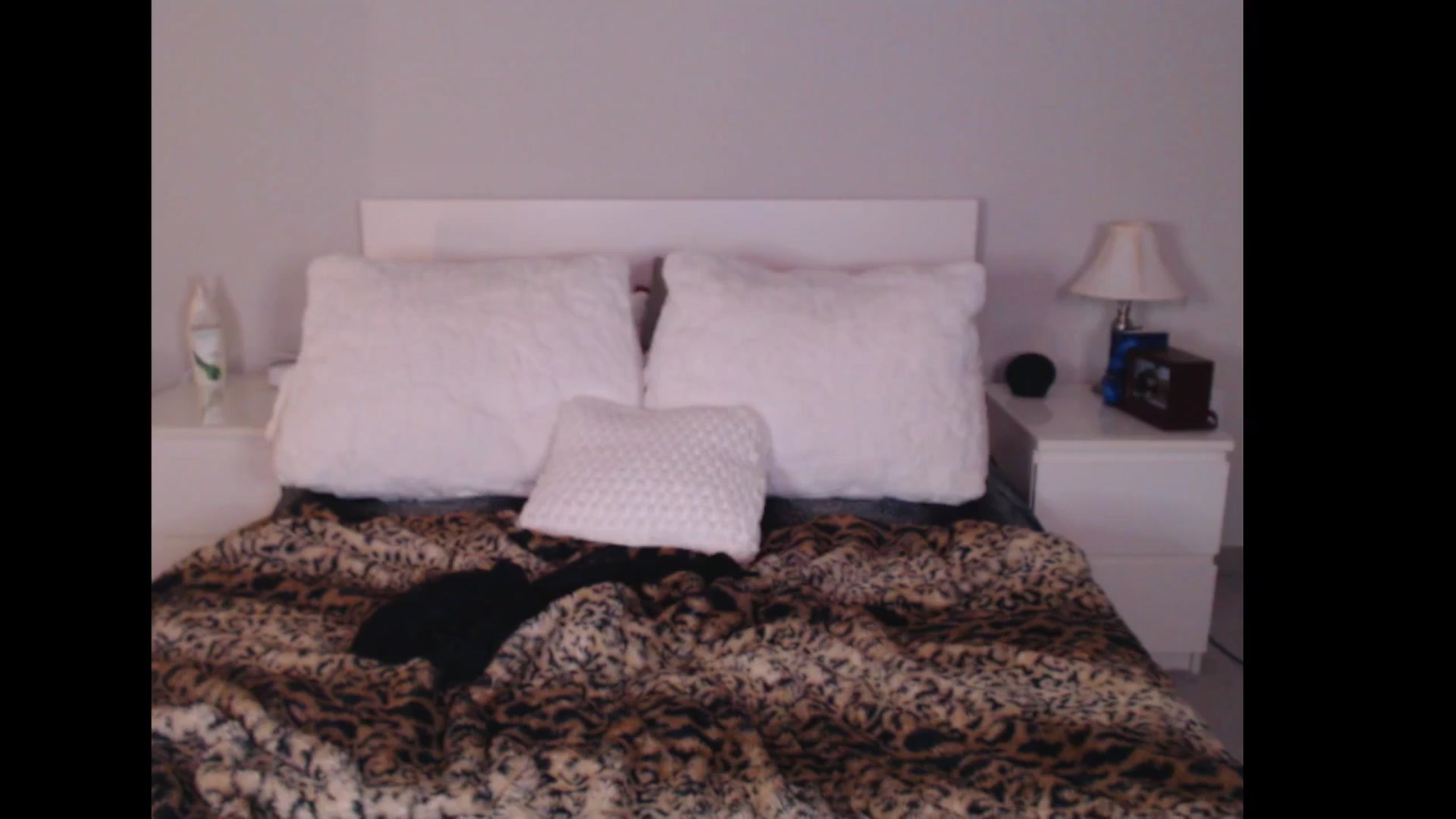 Gallery image thumbnail from Maddz_Jo's myfreecams stream on, 12/28/2024, 10:28 image 1 of 20