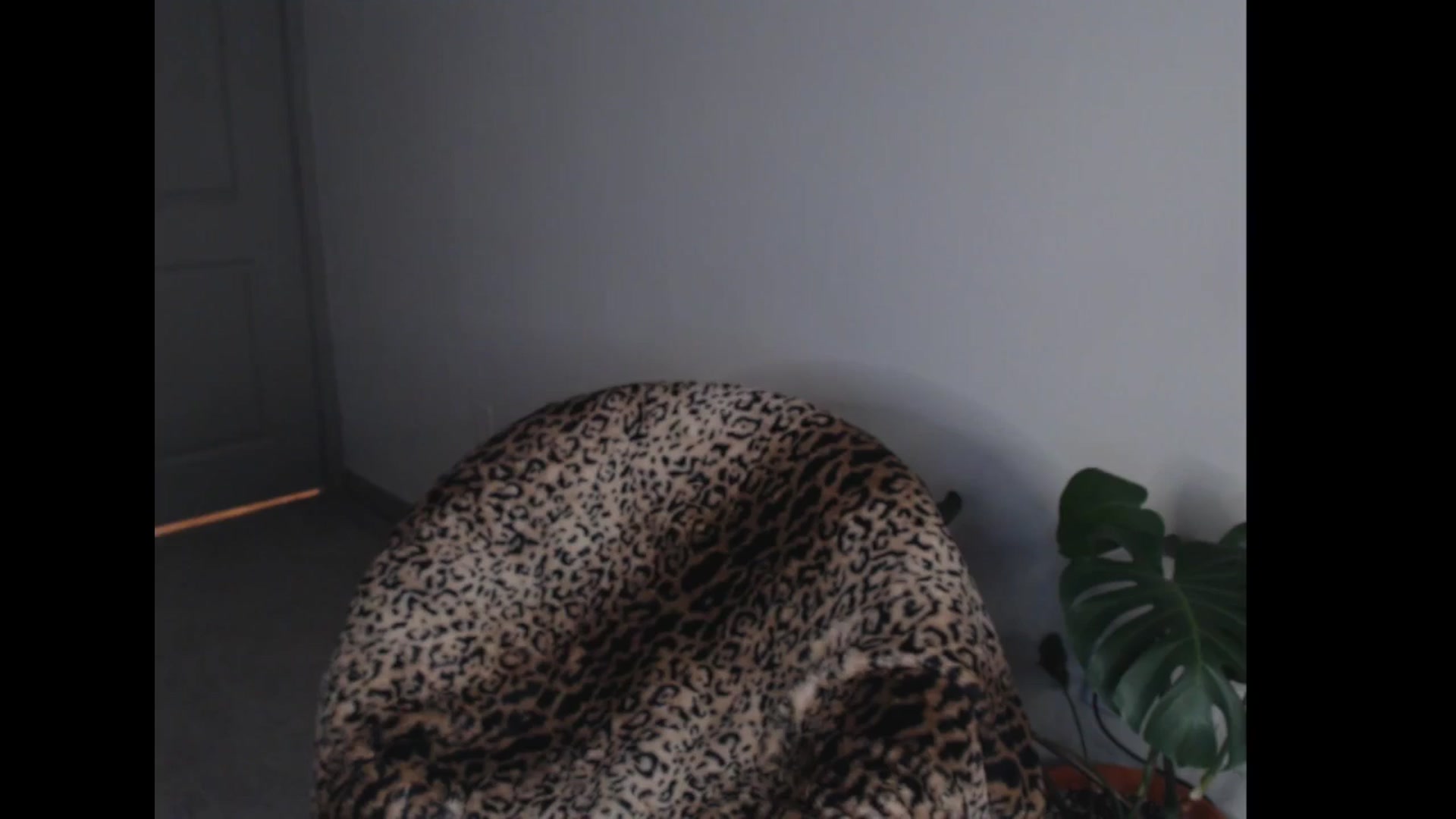 Gallery image thumbnail from Maddz_Jo's myfreecams stream on, 01/26/2025, 09:32 image 12 of 20