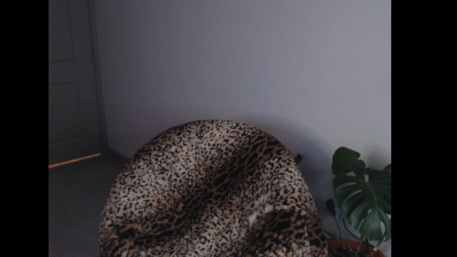 Gallery image thumbnail from Maddz_Jo's myfreecams stream on, 01/26/2025, 09:32 image 11 of 20