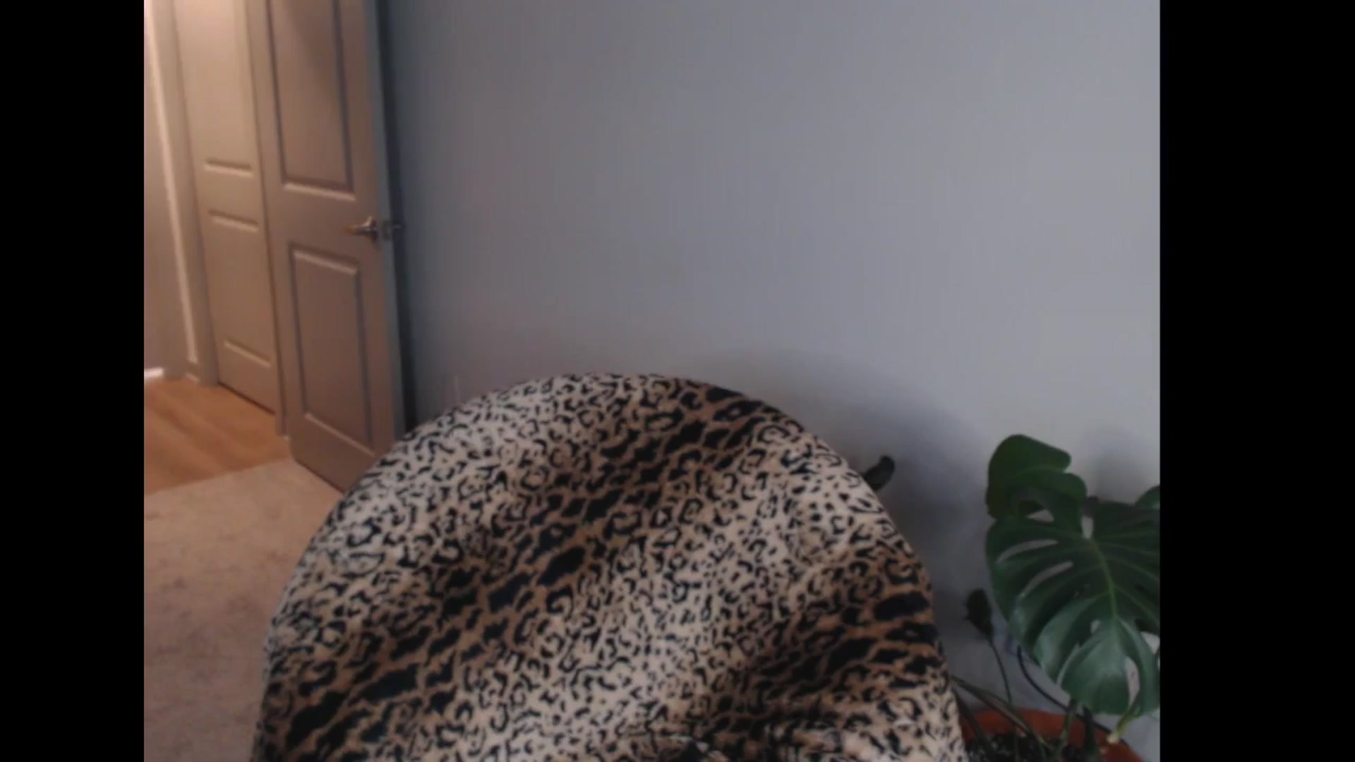 Gallery image thumbnail from Maddz_Jo's myfreecams stream on, 01/26/2025, 10:26 image 3 of 20