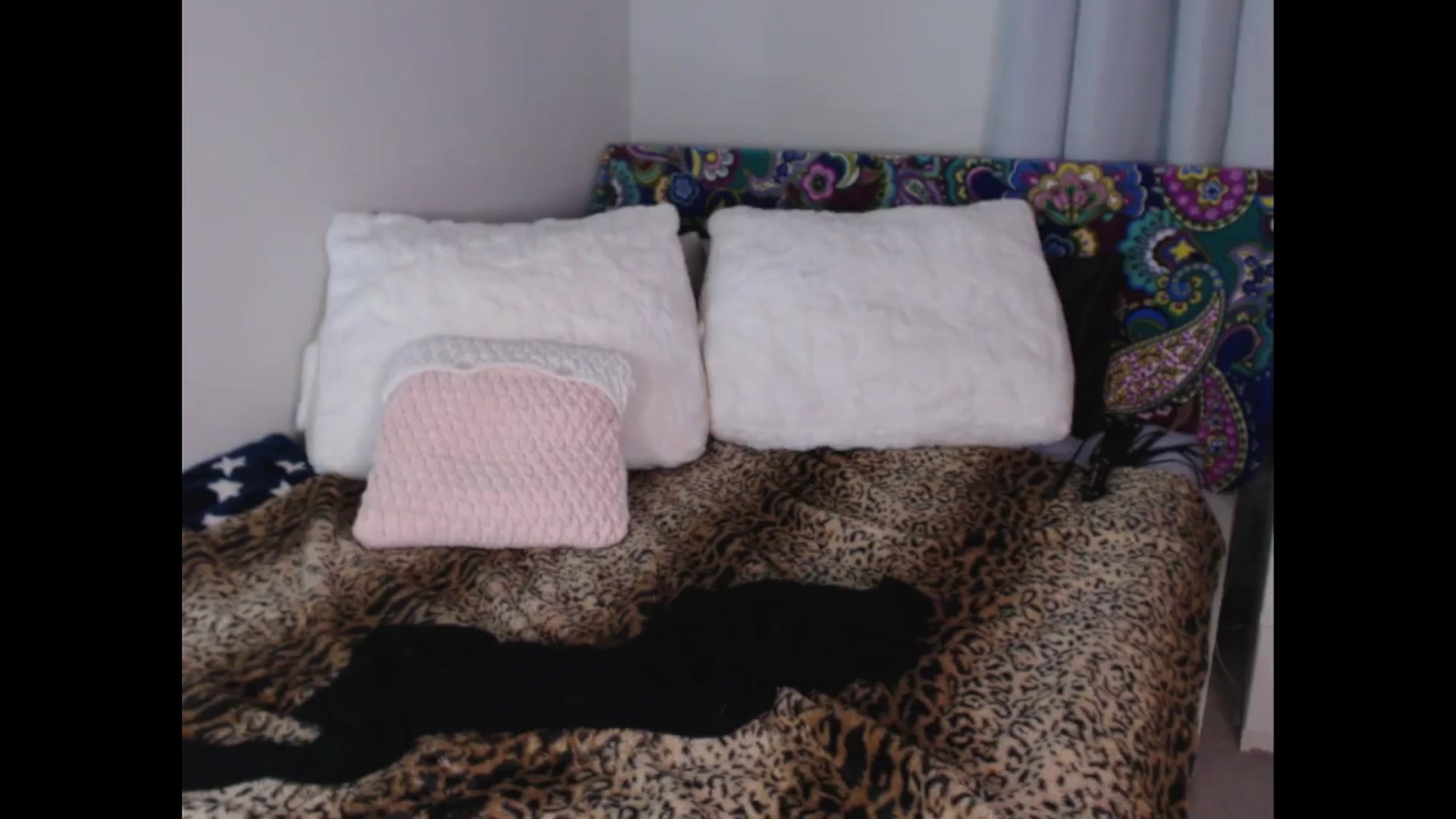 Gallery image thumbnail from Maddz_Jo's myfreecams stream on, 08/28/2025, 11:27 image 11 of 20