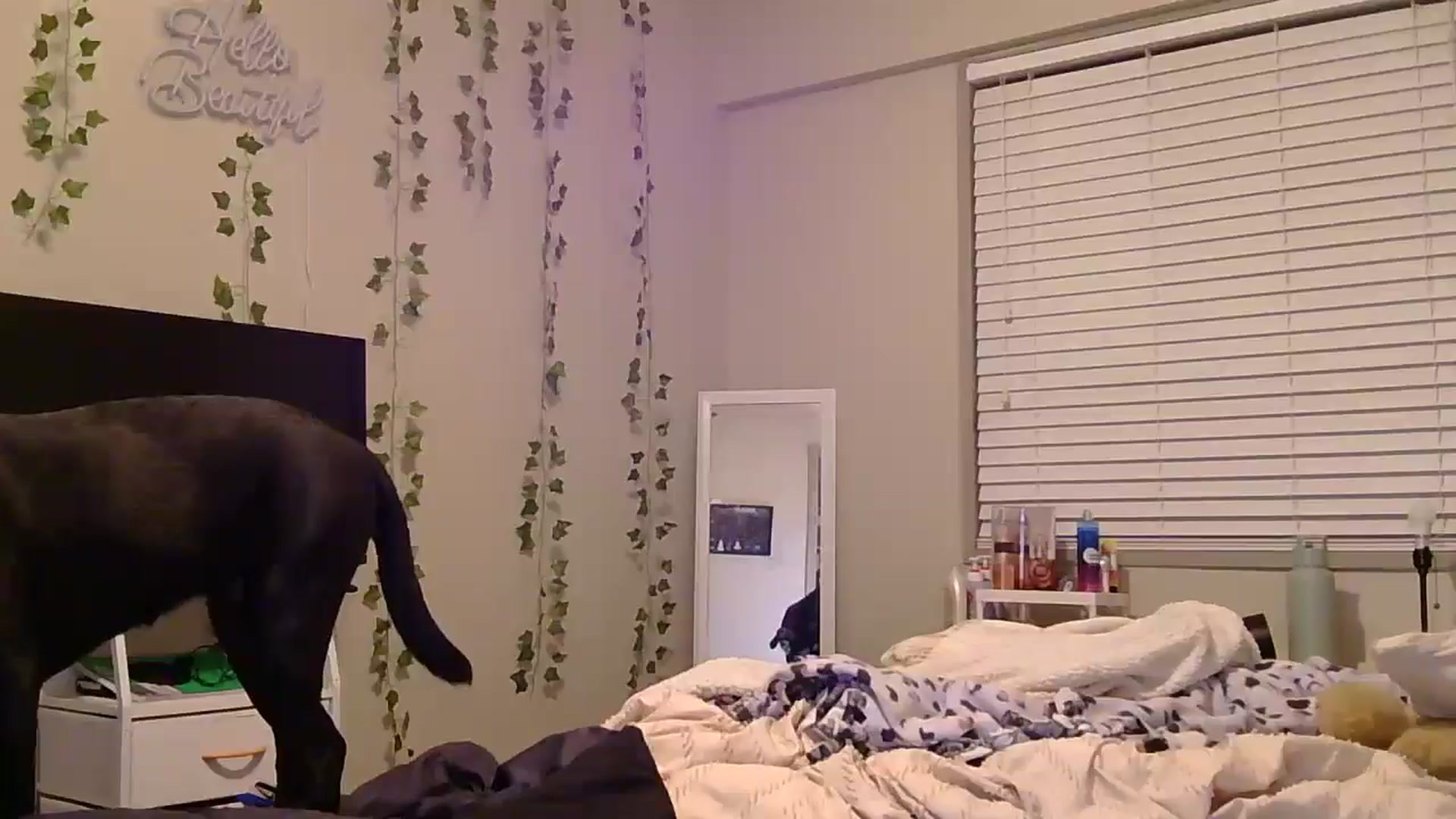 Gallery image thumbnail from Madisonfoxx69's myfreecams stream on, 01/18/2025, 23:28 image 5 of 20