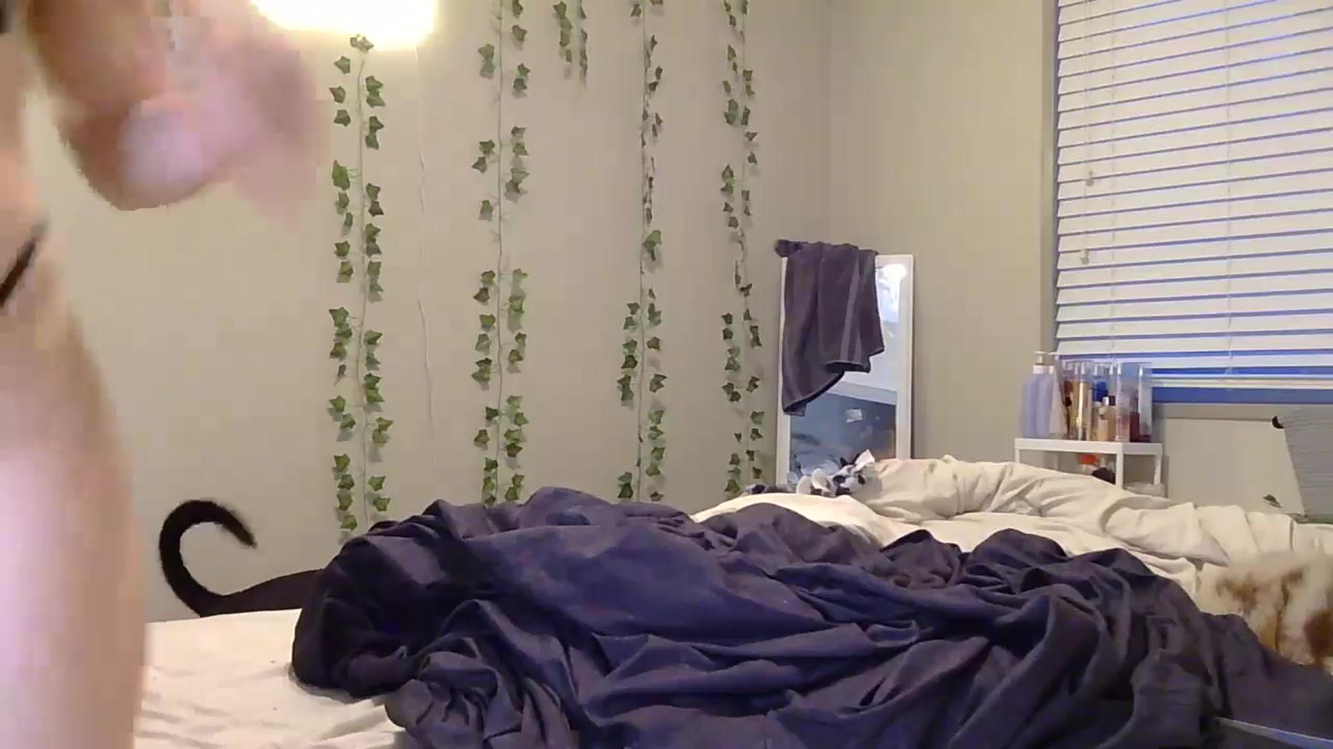 Gallery image thumbnail from Madisonfoxx69's myfreecams stream on, 01/26/2025, 23:09 image 17 of 20