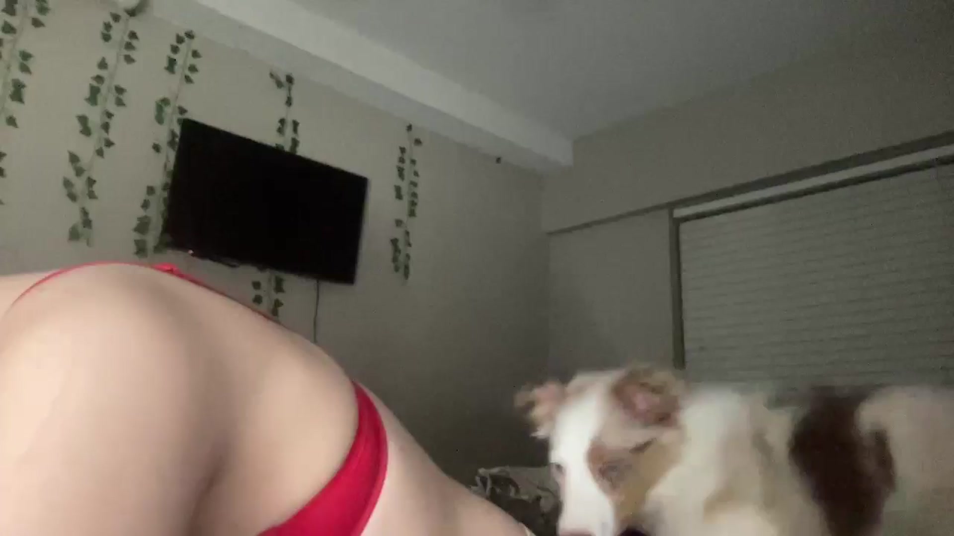 Gallery image thumbnail from Madisonfoxx69's myfreecams stream on, 02/20/2025, 02:30 image 16 of 20