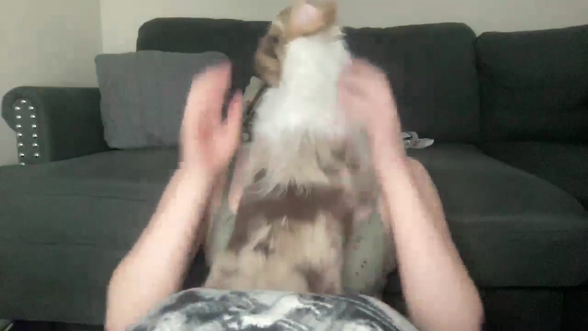 Gallery image thumbnail from Madisonfoxx69's myfreecams stream on, 03/06/2025, 05:03 image 14 of 20