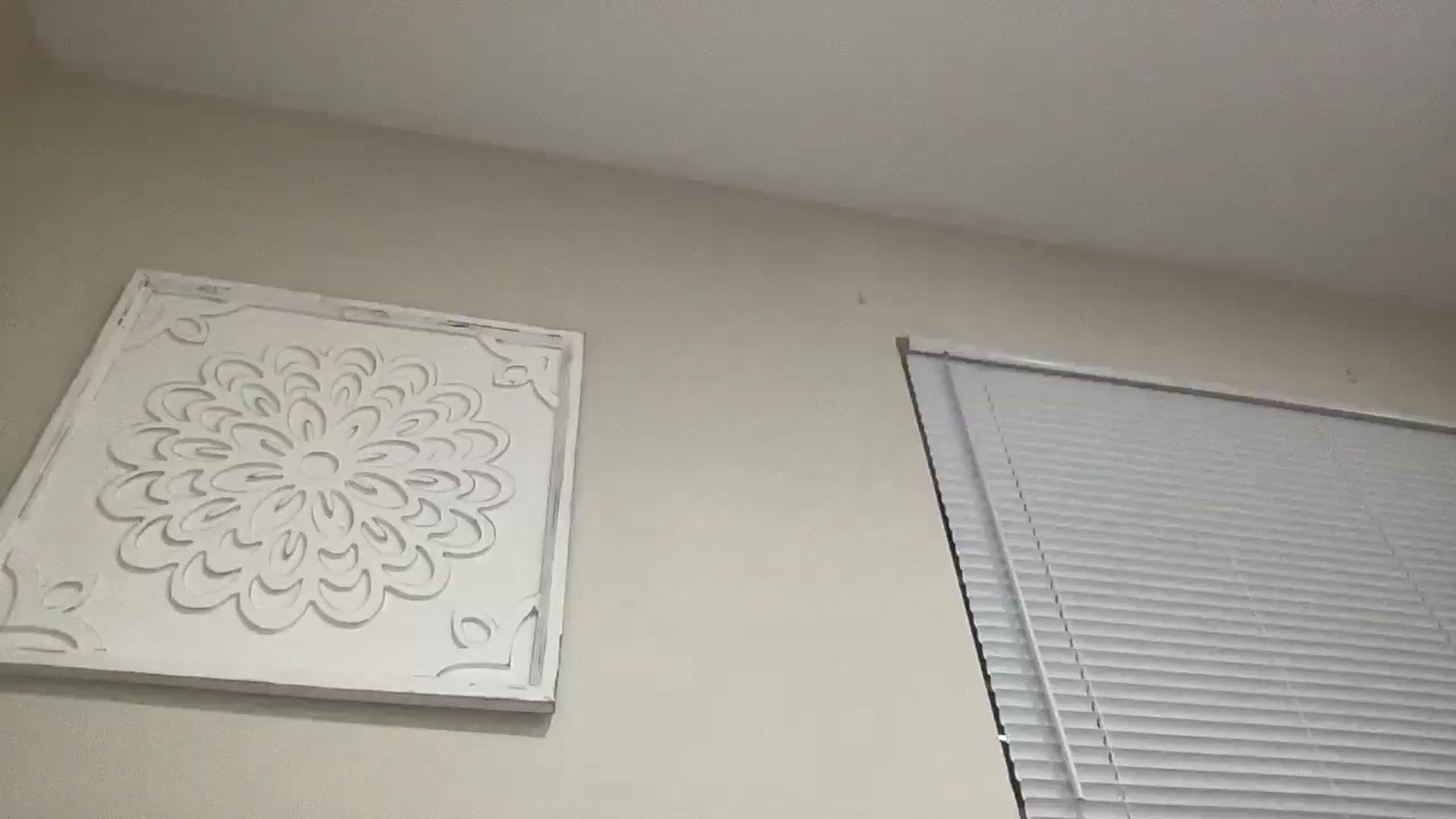 Gallery image thumbnail from Madisonfoxx69's myfreecams stream on, 03/30/2025, 03:06 image 19 of 20