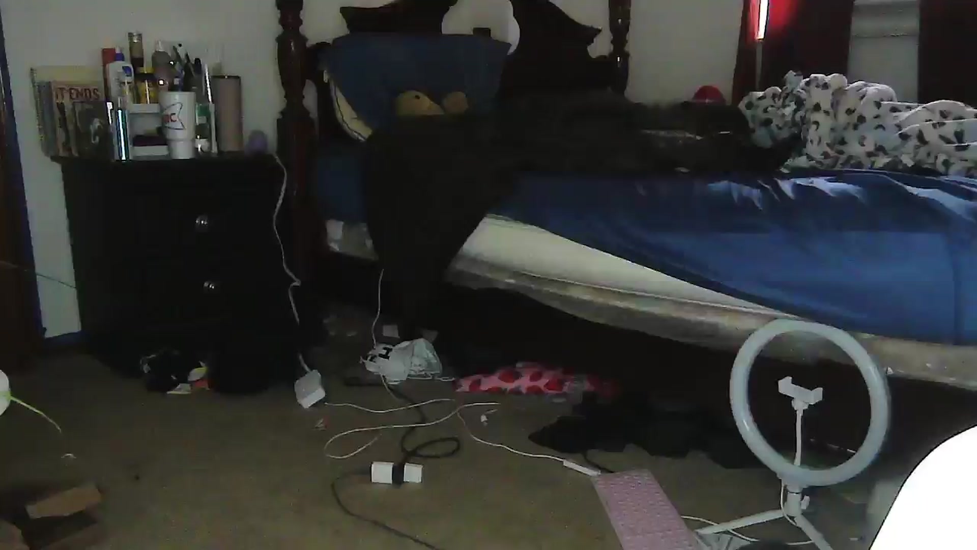 Gallery image thumbnail from Madisonfoxx69's myfreecams stream on, 06/11/2025, 19:00 image 20 of 20