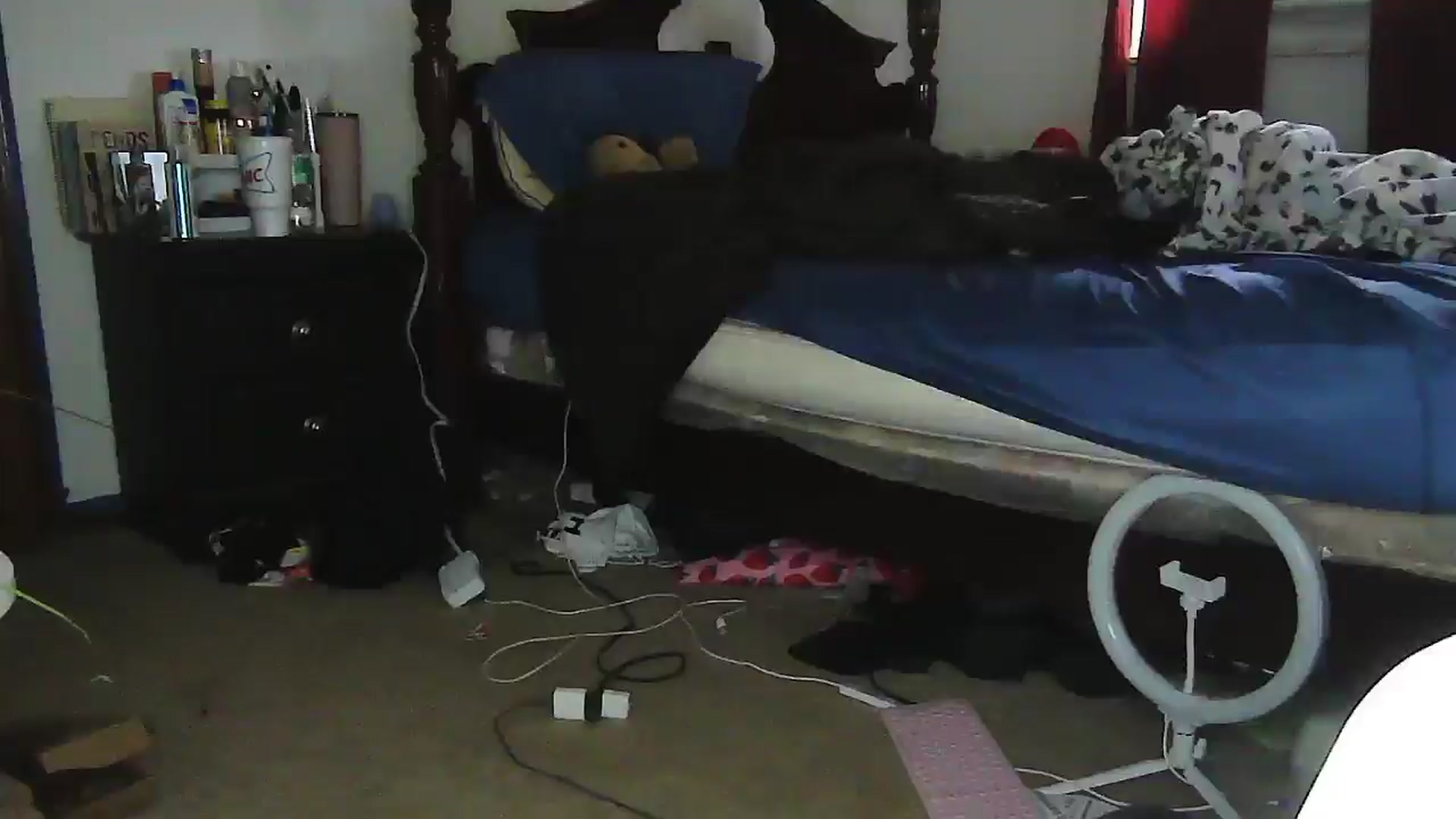 Gallery image thumbnail from Madisonfoxx69's myfreecams stream on, 06/11/2025, 19:00 image 18 of 20