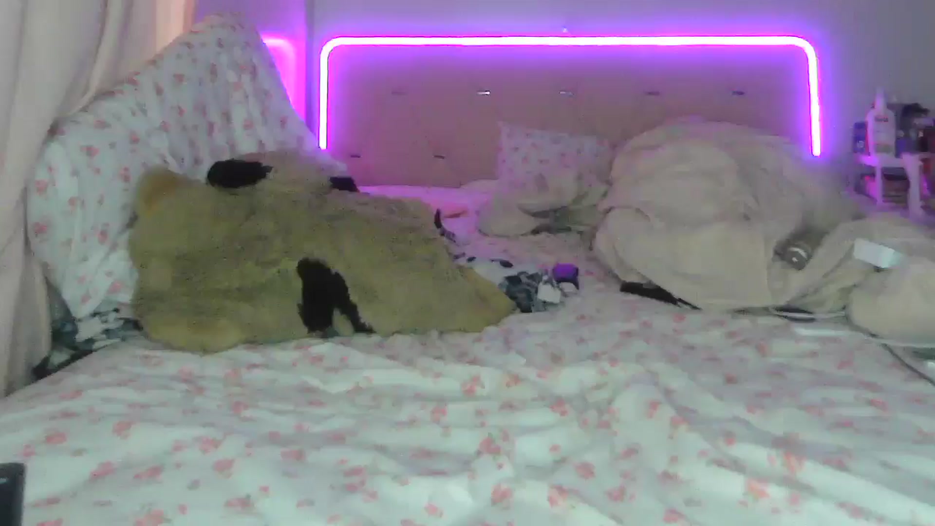 Gallery image thumbnail from Madisonfoxx69's myfreecams stream on, 08/23/2025, 23:24 image 9 of 20
