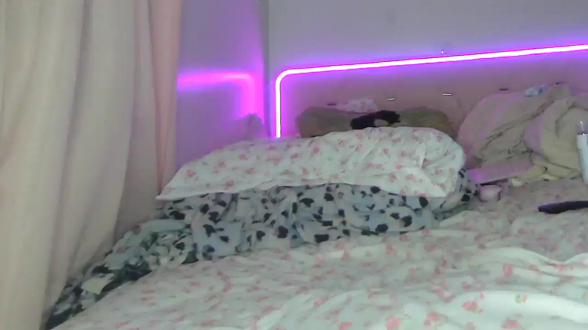 Gallery image thumbnail from Madisonfoxx69's myfreecams stream on, 08/25/2025, 24:29 image 1 of 20