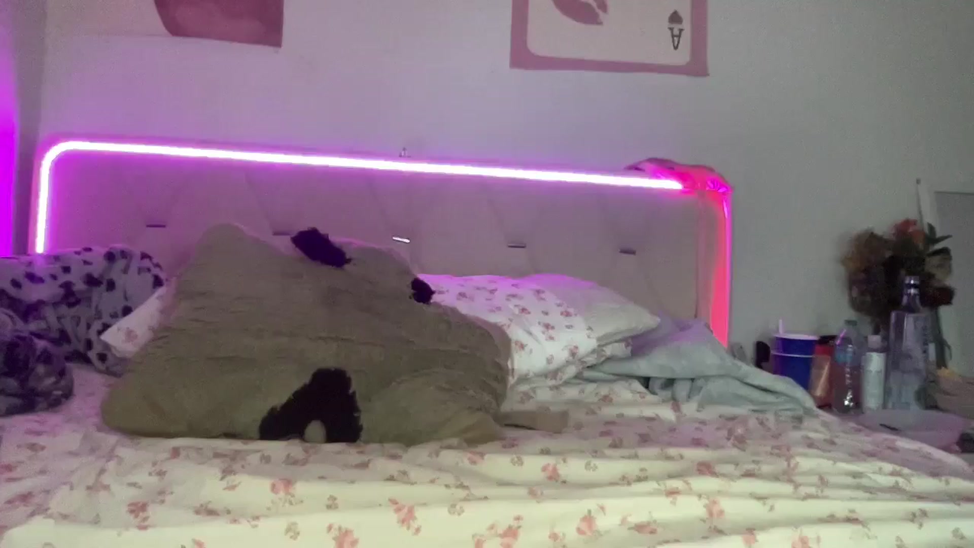 Gallery image thumbnail from Madisonfoxx69's myfreecams stream on, 09/10/2025, 04:46 image 4 of 20