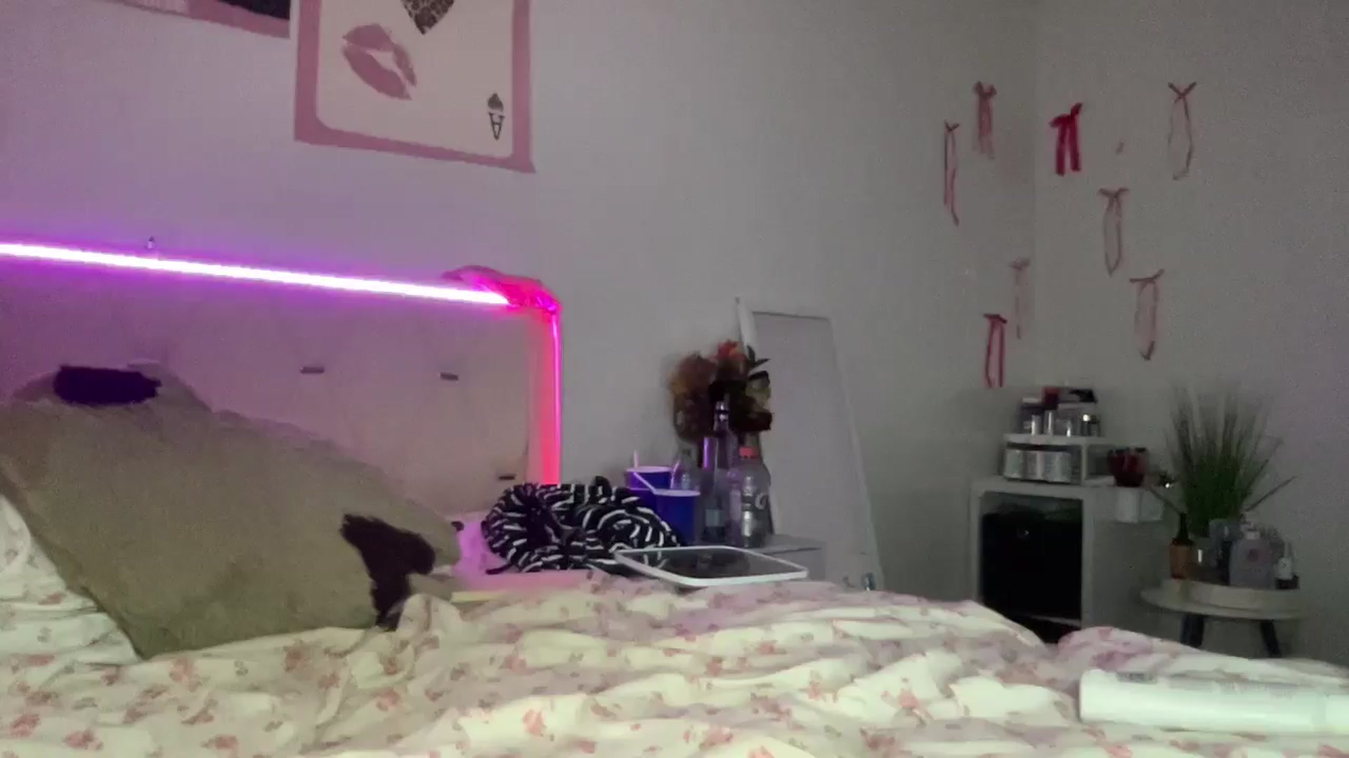 Gallery image thumbnail from Madisonfoxx69's myfreecams stream on, 09/11/2025, 04:20 image 9 of 20