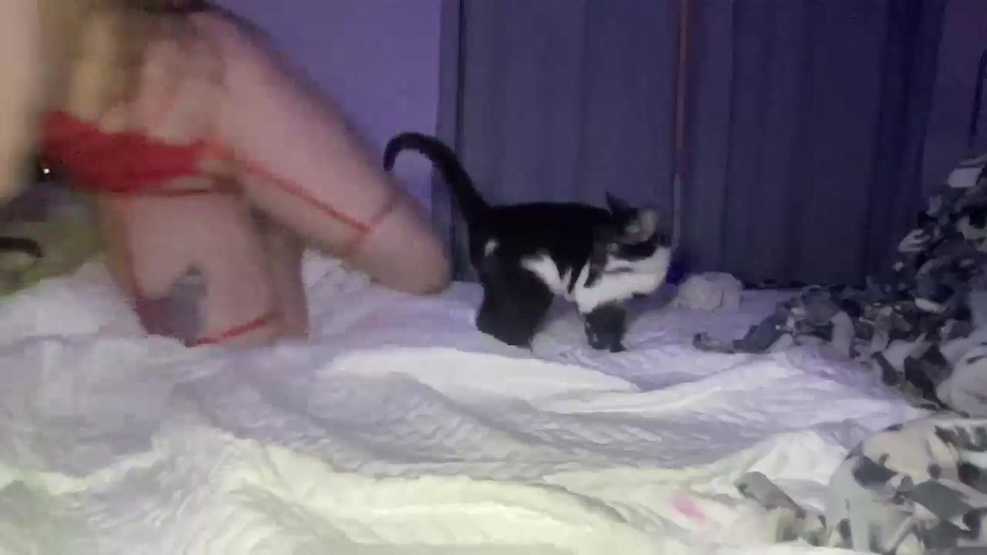 Gallery image thumbnail from Madisonfoxx69's myfreecams stream on, 11/12/2025, 03:46 image 15 of 20