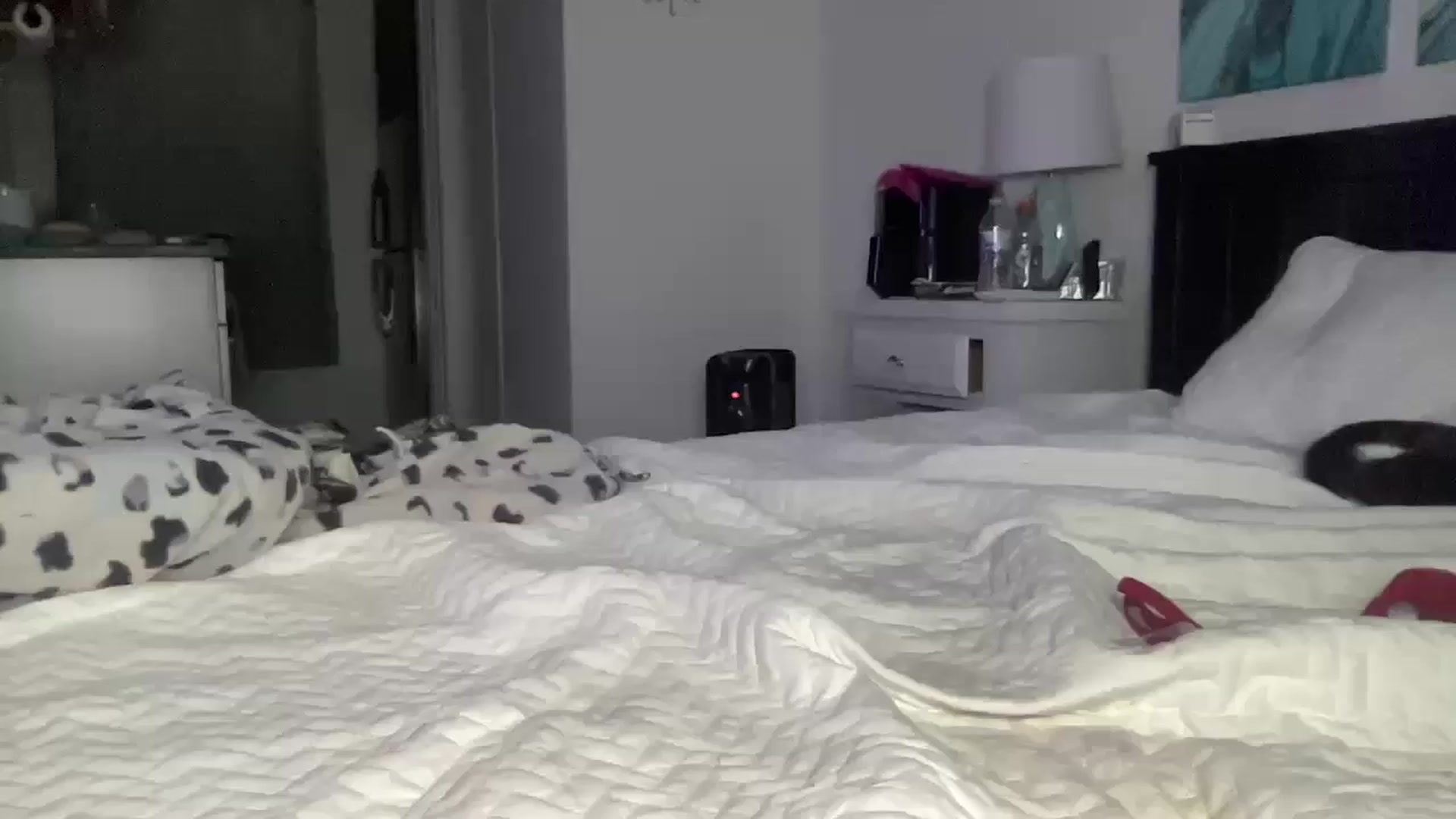 Gallery image thumbnail from Madisonfoxx69's myfreecams stream on, 11/19/2025, 03:22 image 5 of 20