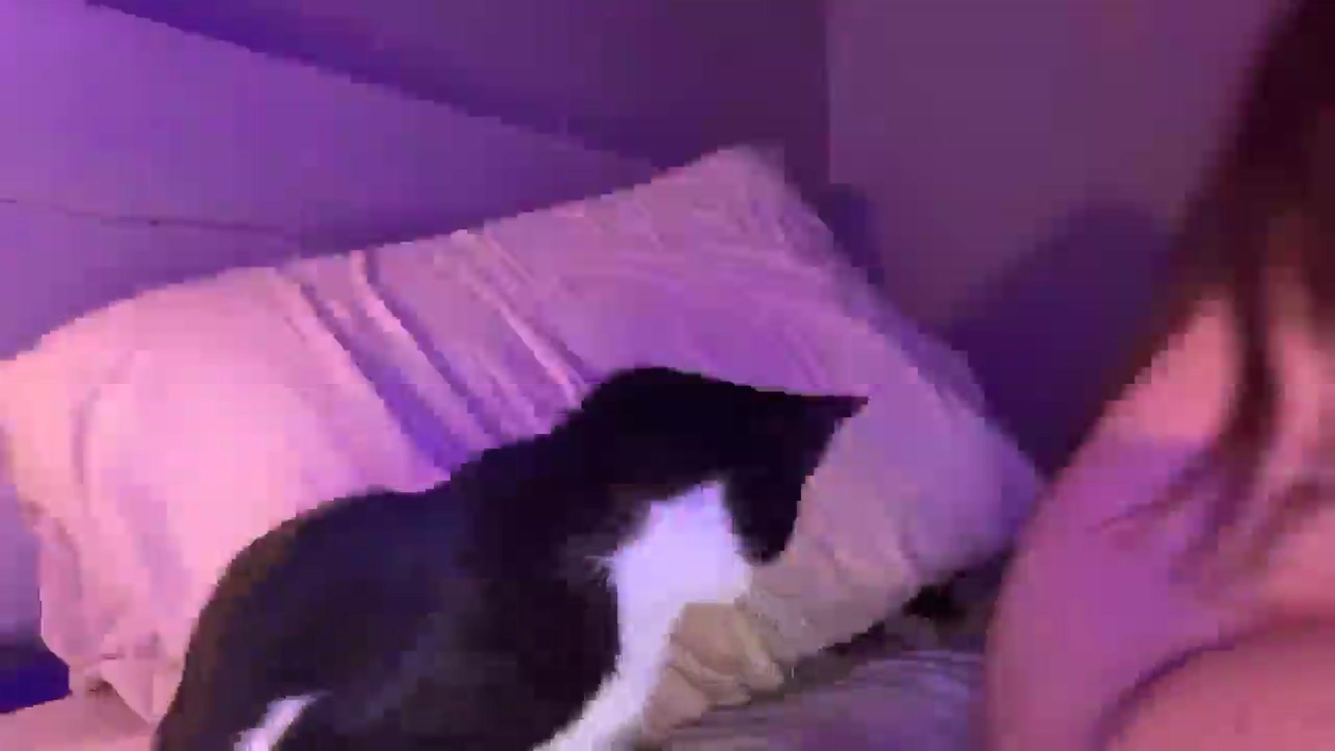 Gallery image thumbnail from Madisonfoxx69's myfreecams stream on, 01/24/2026, 06:54 image 3 of 20