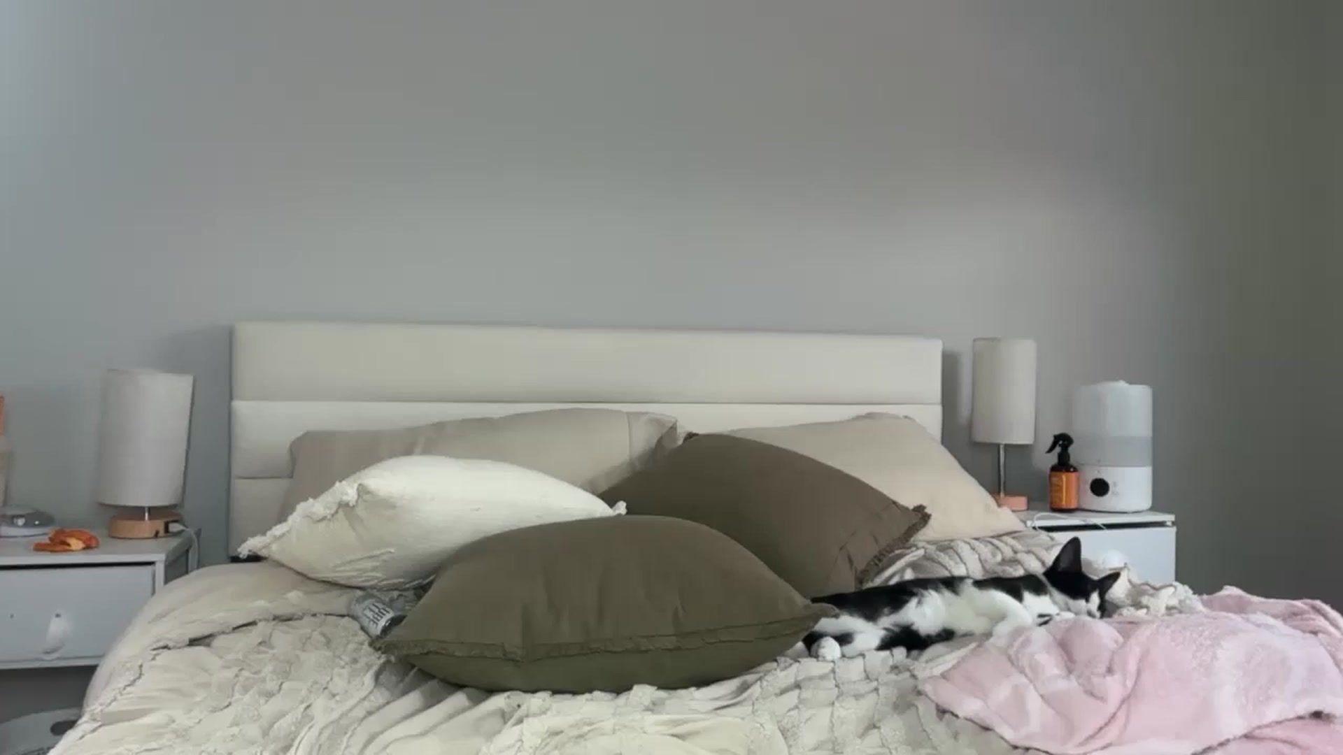 Gallery image thumbnail from Madisonfoxx69's myfreecams stream on, 03/18/2026, 21:16 image 17 of 20