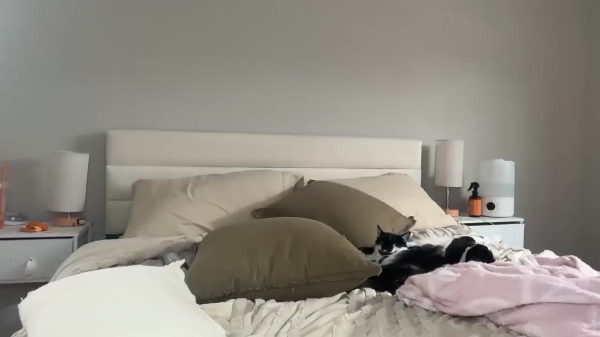 Gallery image thumbnail from Madisonfoxx69's myfreecams stream on, 03/18/2026, 21:16 image 9 of 20