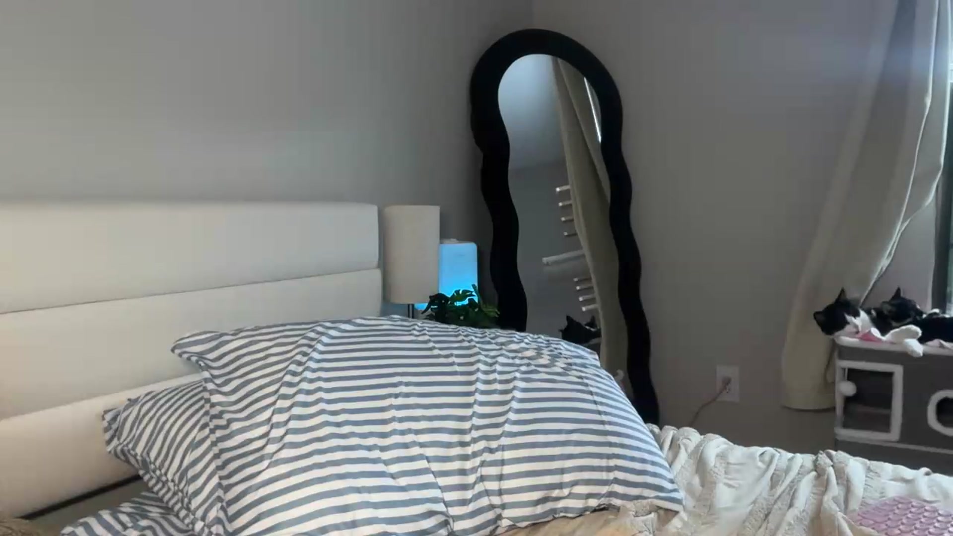 Gallery image thumbnail from Madisonfoxx69's myfreecams stream on, 06/26/2026, 23:54 image 19 of 20