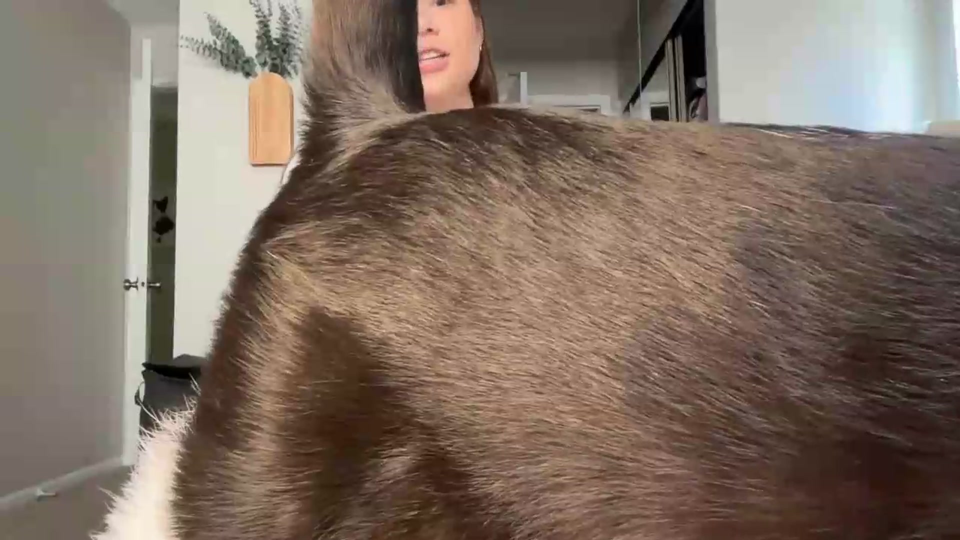 Gallery image thumbnail from Madisonfoxx69's myfreecams stream on, 08/25/2026, 19:01 image 4 of 20