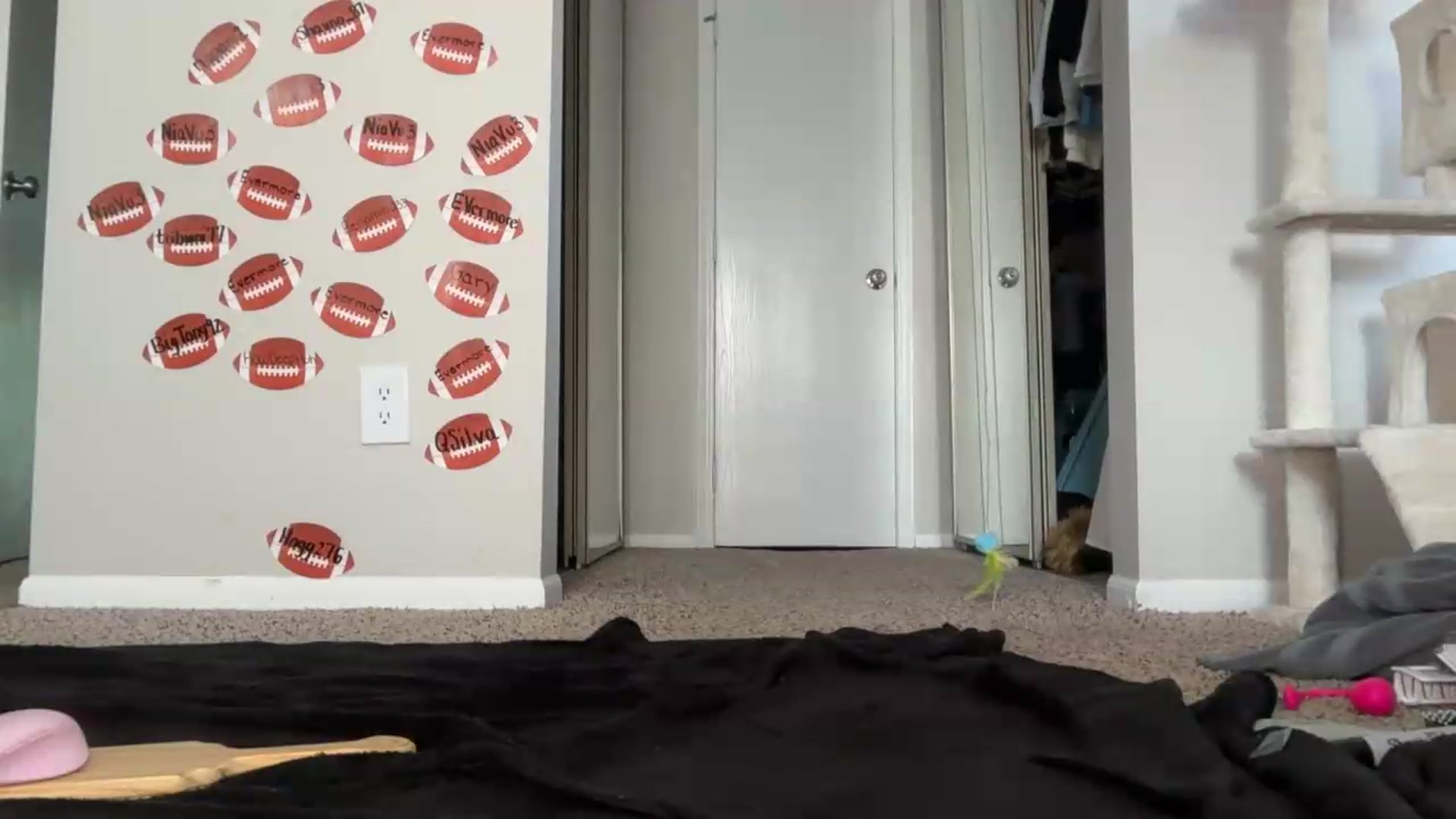 Gallery image thumbnail from Madisonfoxx69's myfreecams stream on, 09/04/2026, 23:08 image 19 of 20