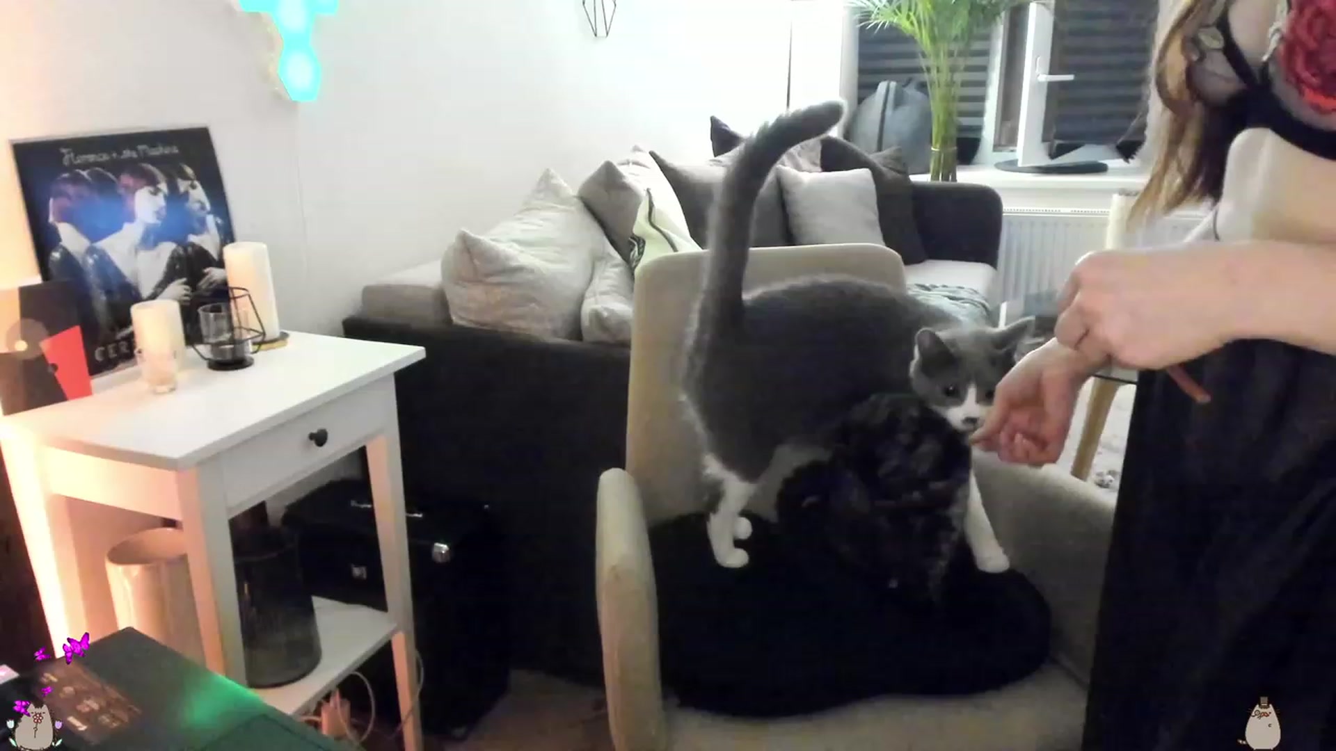 Gallery image thumbnail from Mads___'s myfreecams stream on, 08/14/2023, 24:01 image 18 of 20