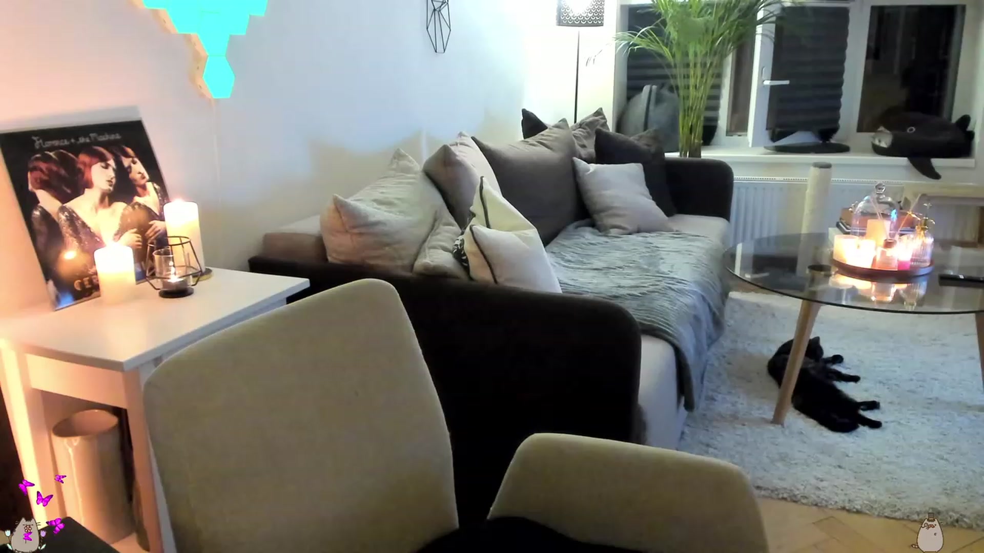 Gallery image thumbnail from Mads___'s myfreecams stream on, 08/15/2023, 01:16 image 16 of 20
