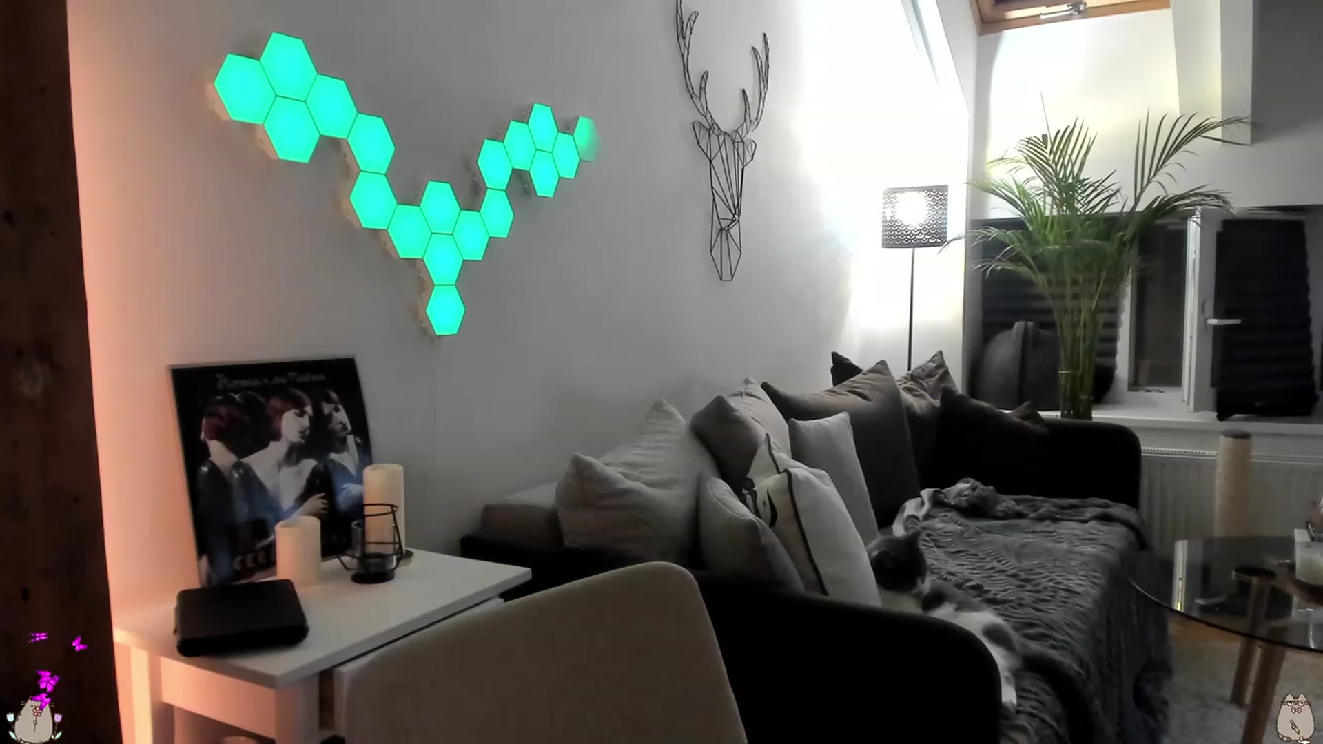 Gallery image thumbnail from Mads___'s myfreecams stream on, 08/23/2023, 02:32 image 13 of 20