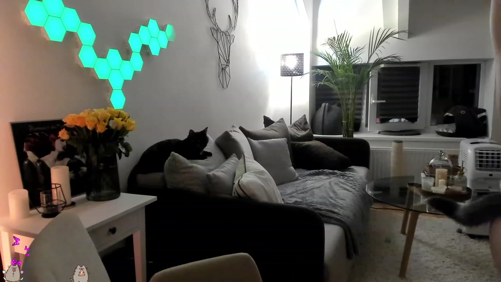 Gallery image thumbnail from Mads___'s myfreecams stream on, 08/25/2023, 20:35 image 5 of 20