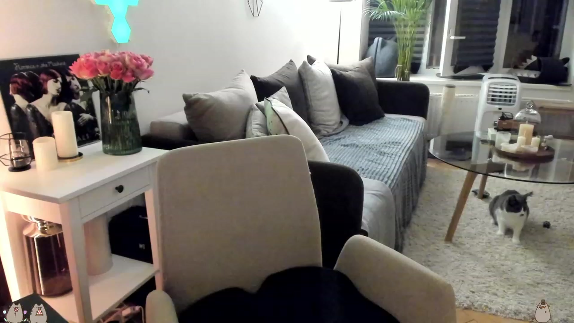 Gallery image thumbnail from Mads___'s myfreecams stream on, 09/09/2023, 01:02 image 15 of 20