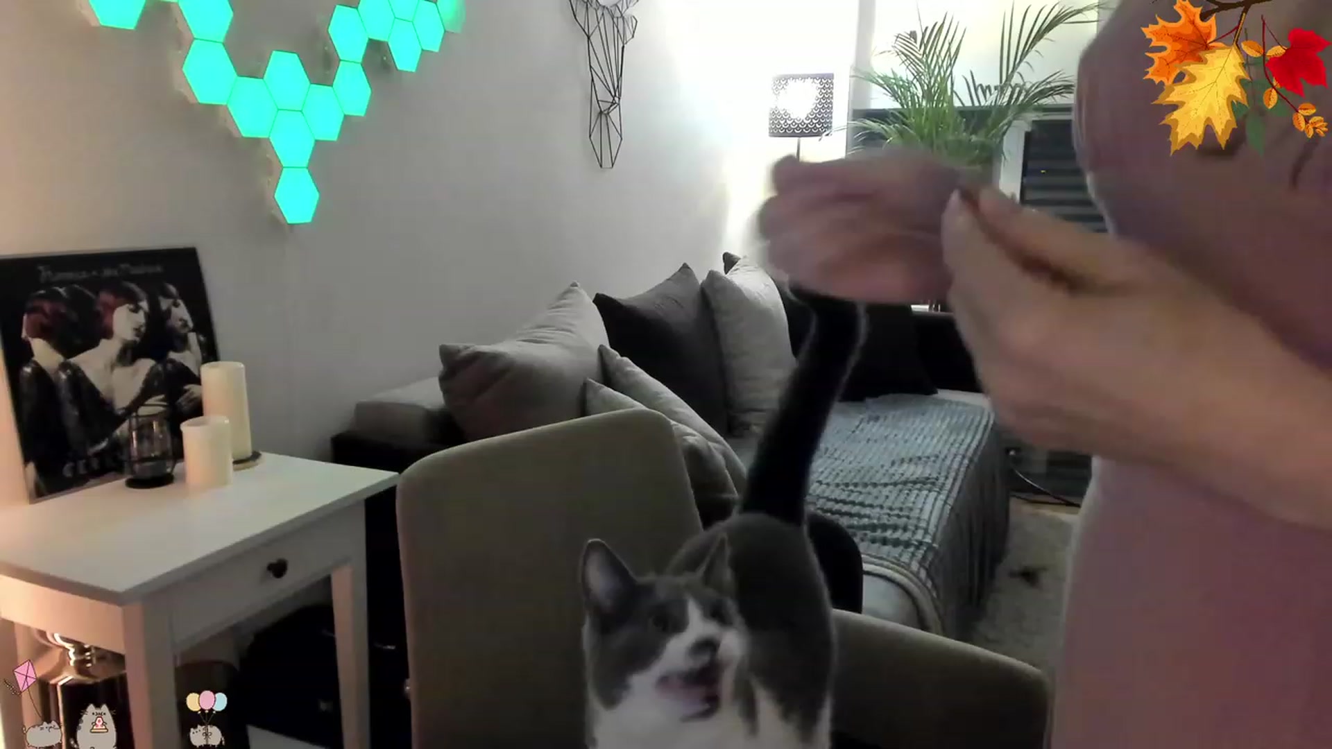 Gallery image thumbnail from Mads___'s myfreecams stream on, 09/16/2023, 02:11 image 16 of 20