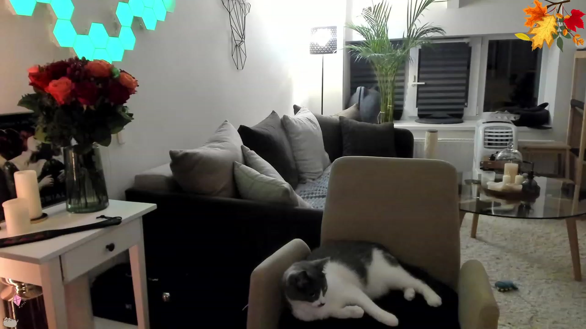 Gallery image thumbnail from Mads___'s myfreecams stream on, 09/17/2023, 02:45 image 14 of 20