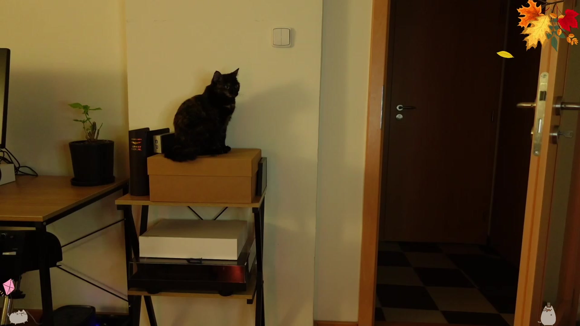Gallery image thumbnail from Mads___'s myfreecams stream on, 09/25/2023, 24:44 image 7 of 20