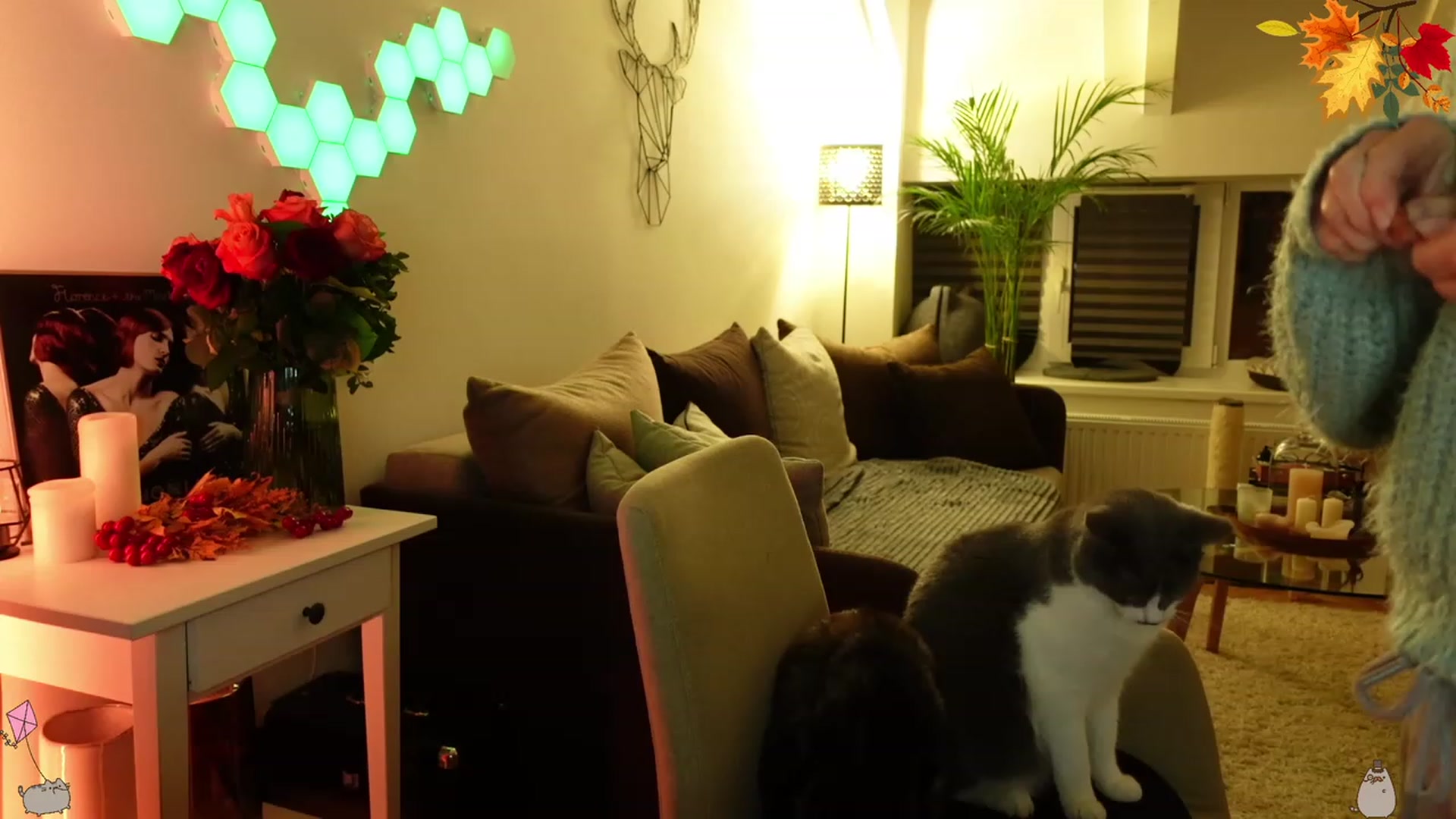 Gallery image thumbnail from Mads___'s myfreecams stream on, 09/25/2023, 24:44 image 9 of 20