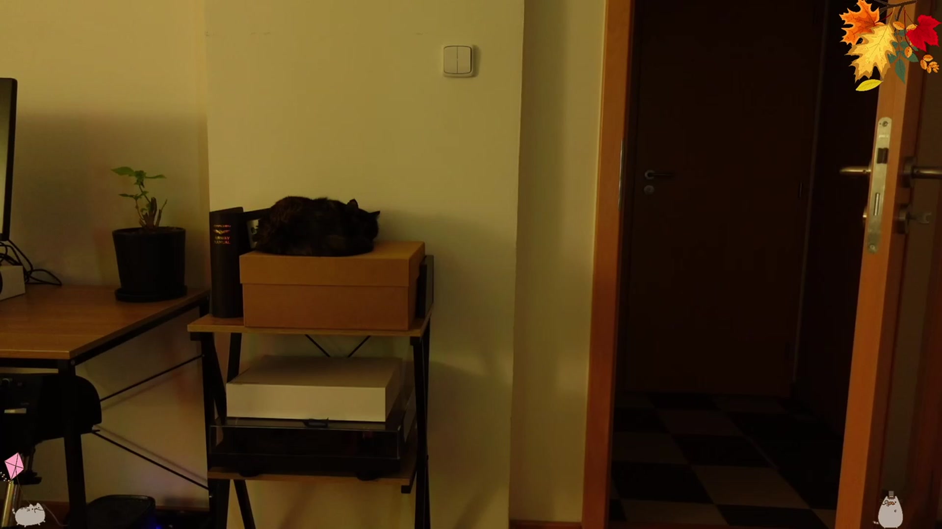 Gallery image thumbnail from Mads___'s myfreecams stream on, 09/25/2023, 24:44 image 6 of 20