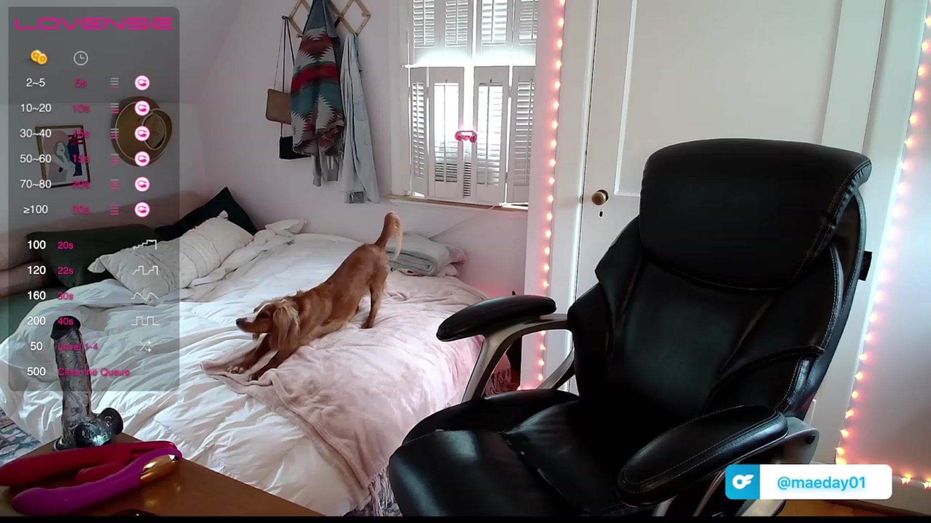 Gallery image thumbnail from MaeDay01's myfreecams stream on, 06/19/2023, 15:35 image 20 of 20