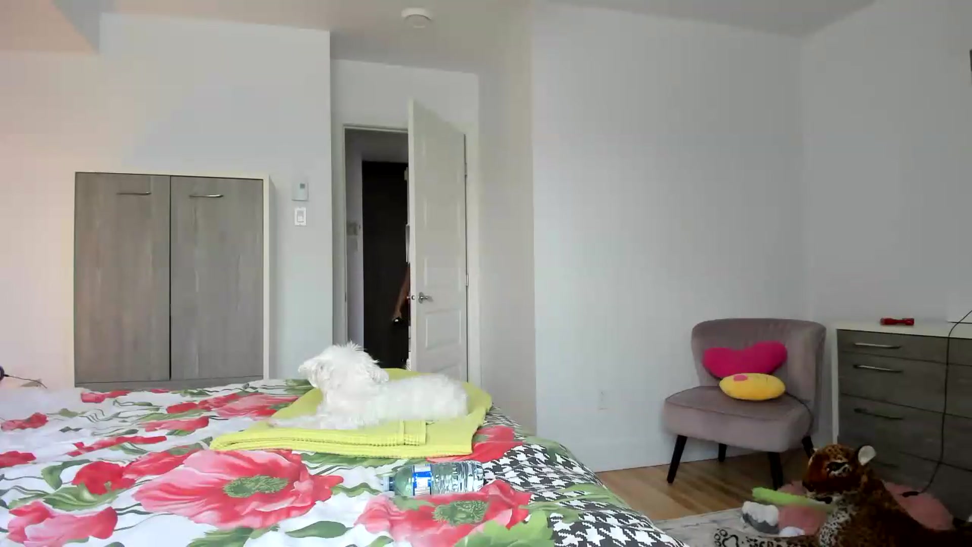Gallery image thumbnail from Magic_Tits's myfreecams stream on, 06/27/2026, 18:44 image 3 of 20