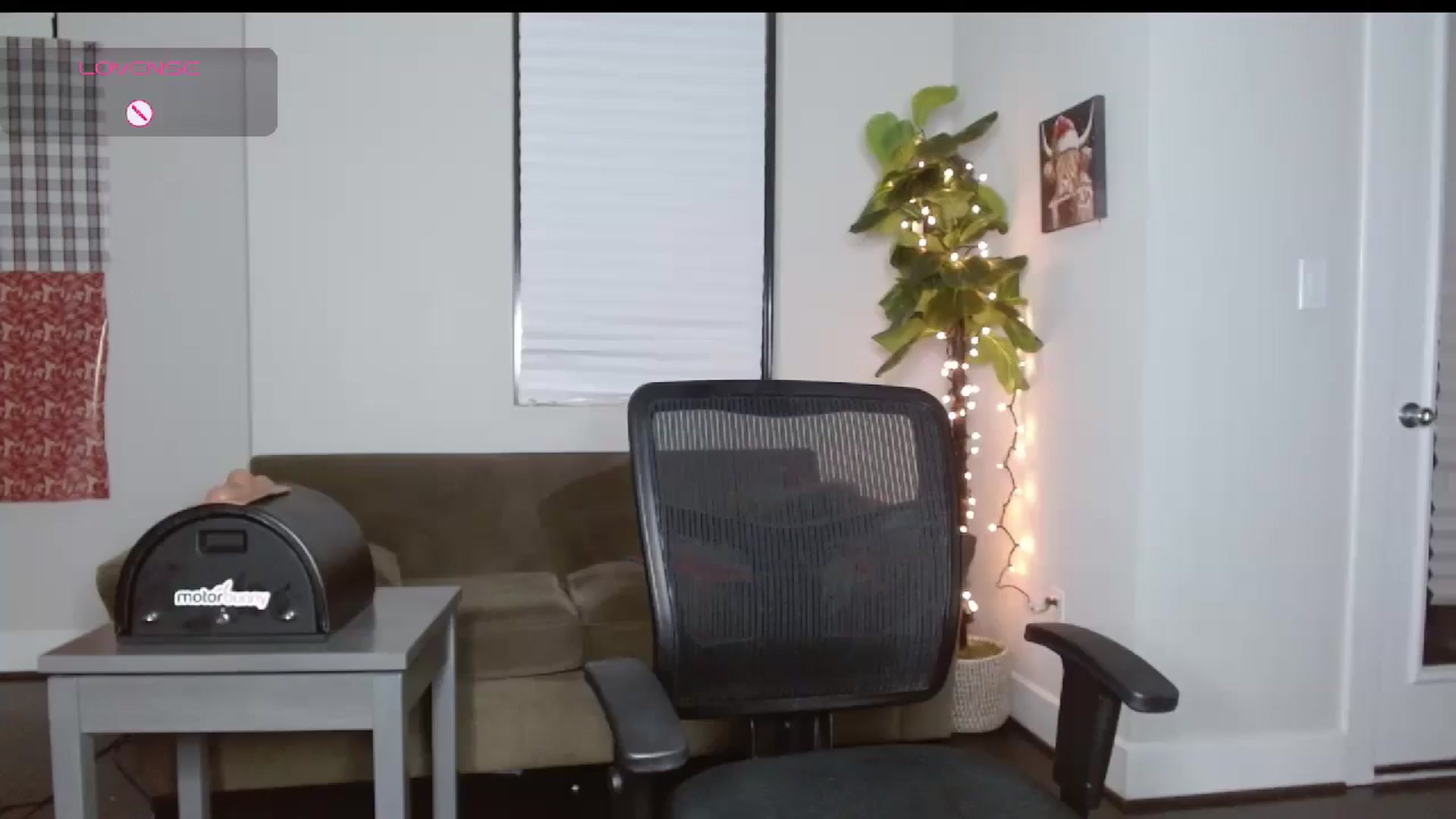 Gallery image thumbnail from Maikuchi's myfreecams stream on, 12/18/2024, 04:06 image 5 of 20